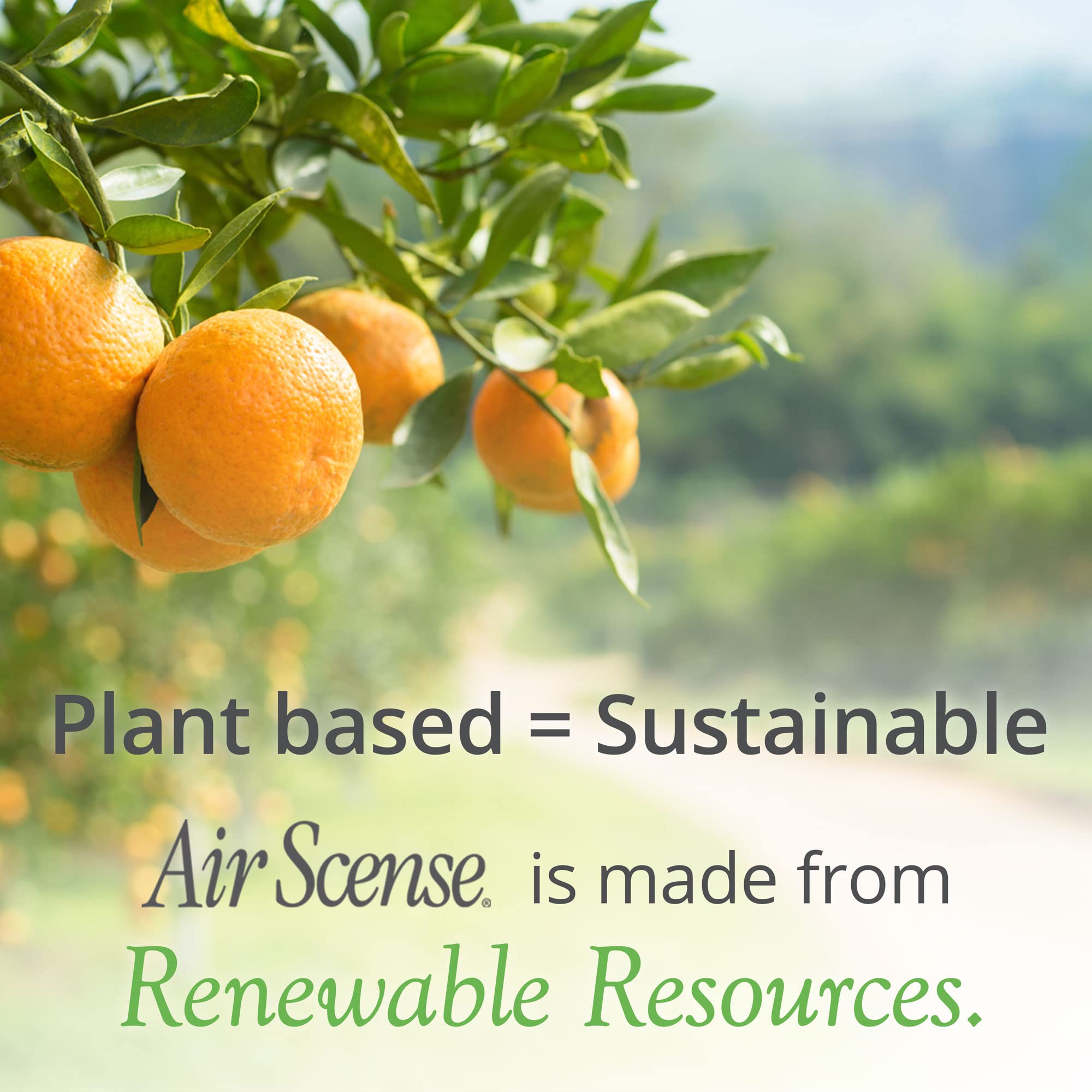Air Scense Essential Oil Air Freshener - Non-Aerosol | Refreshing, Long-Lasting Scent | Eco-Friendly | Exceptional Value