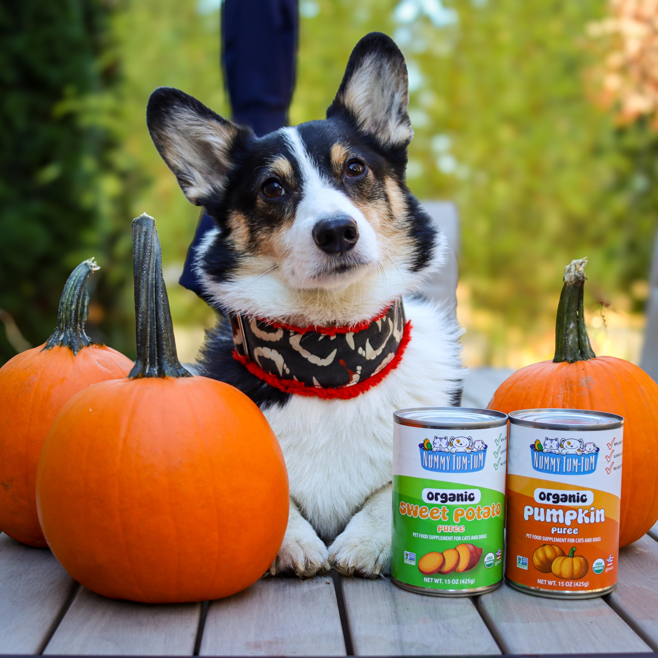 Nummy Tum Tum Pure Pumpkin For Pets, 15-Ounce Cans