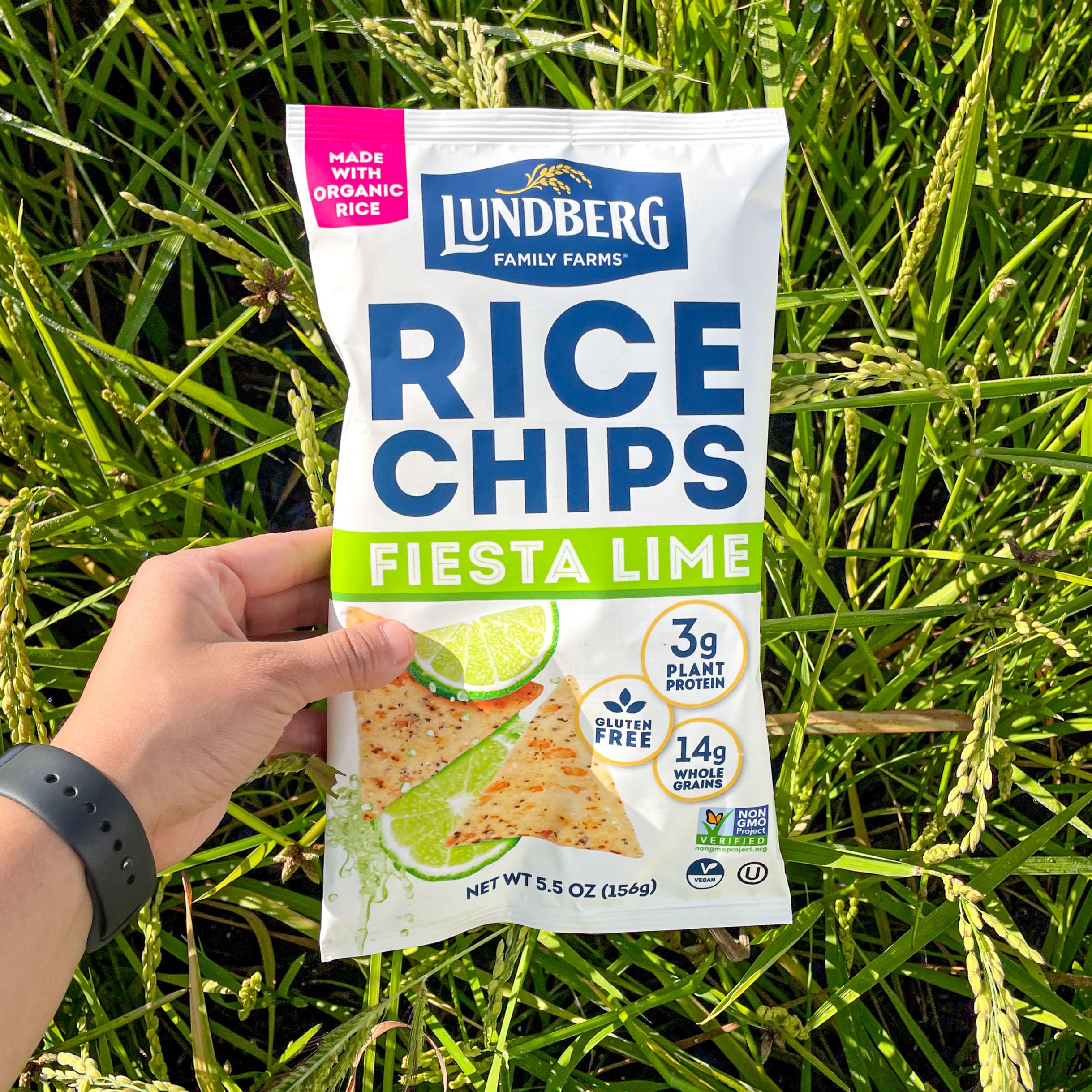 Lundberg Family Farms Rice Chips