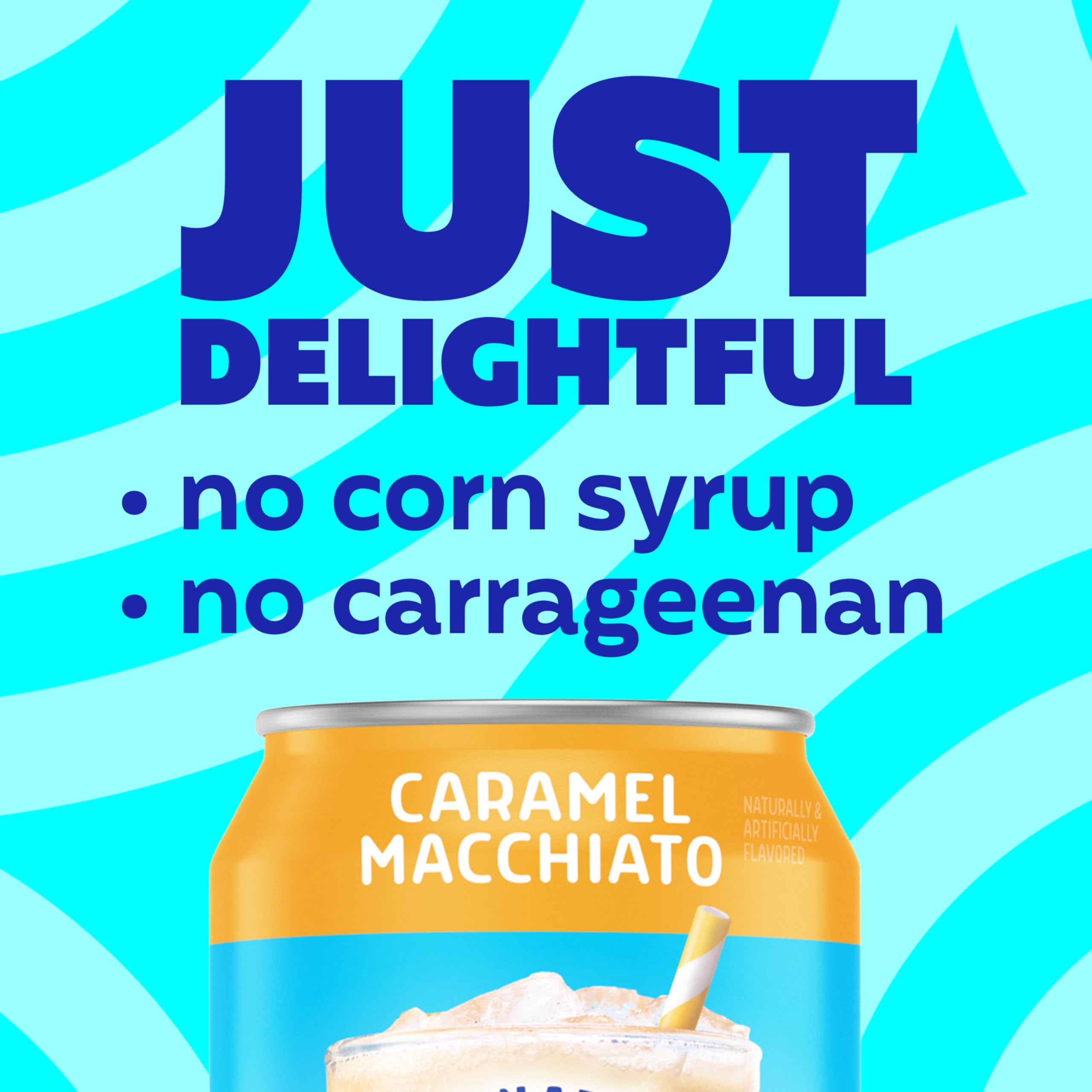 International Delight Iced Coffee, Mocha, Grab and Go Coffee Drinks Made with Real Milk and Cream