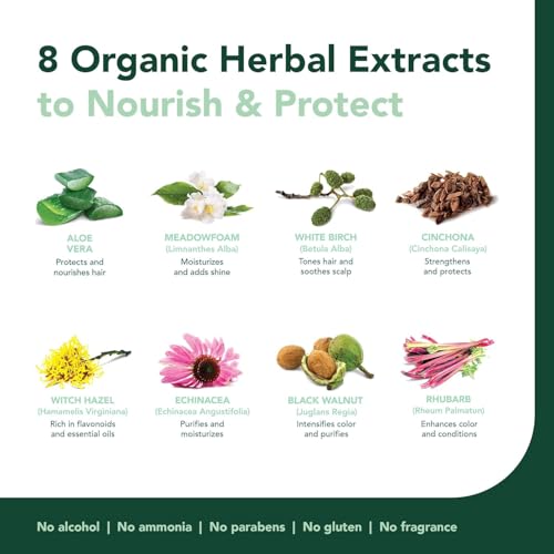 Herbatint Permanent Haircolor Gel, 4N Chestnut, Alcohol Free, Vegan, 100% Grey Coverage - 4.56 oz (3 Pack)