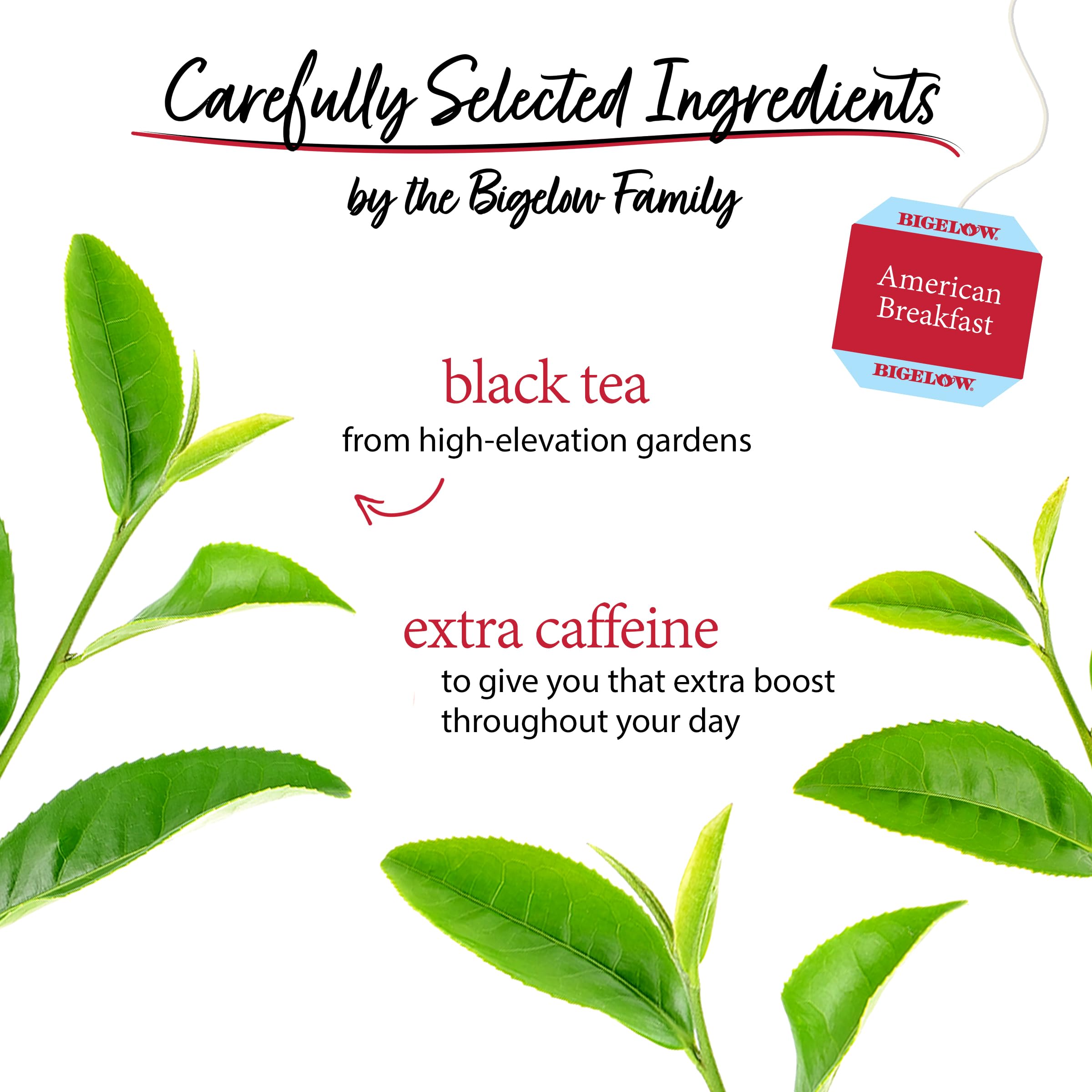 Bigelow Tea Seasonal Tea