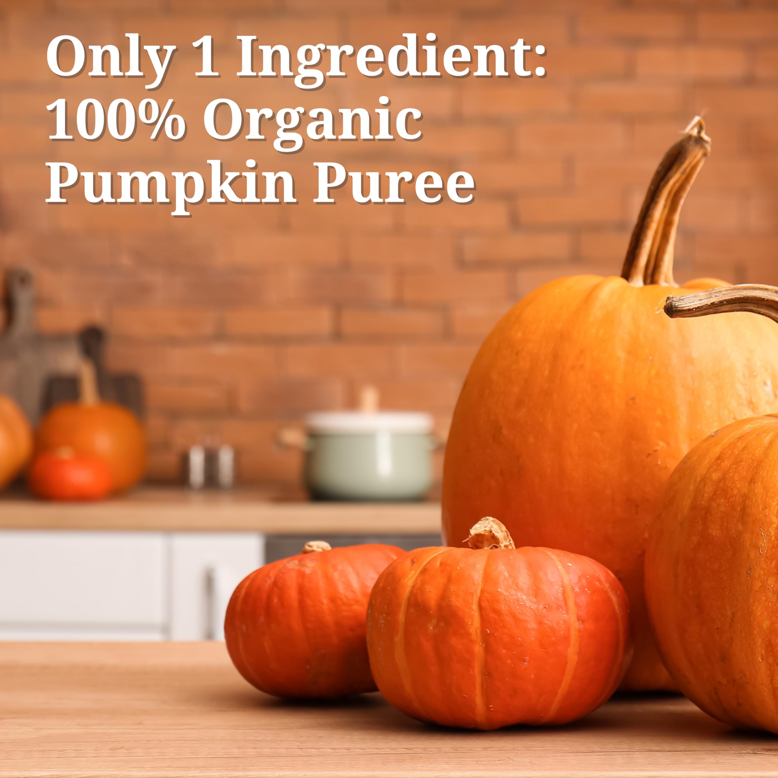 Farmer's Market Foods Organic Canned Pumpkin, 15-Ounce Cans