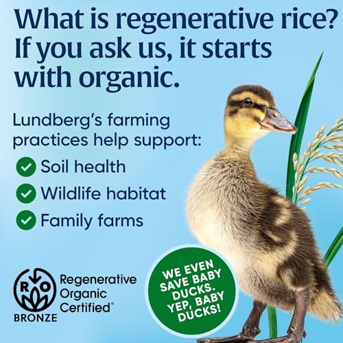 Lundberg Organic Thin Stackers, Red Rice & Quinoa, Salt-Free, Thin Multigrain Rice Cakes, Gluten-Free, Vegan, Healthy Snacks, 6 oz (Pack of 1)