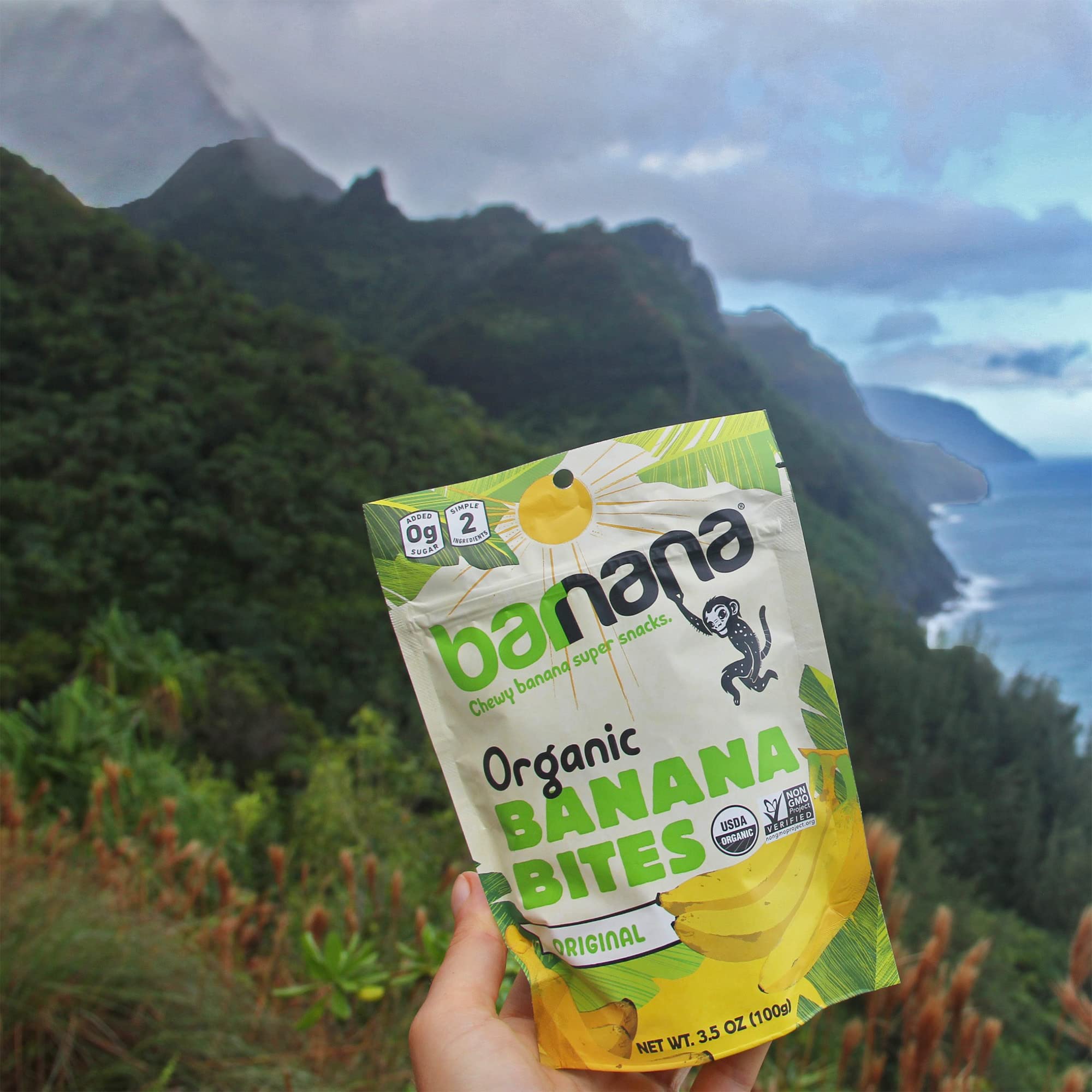Barnana Organic Chewy Banana Bites