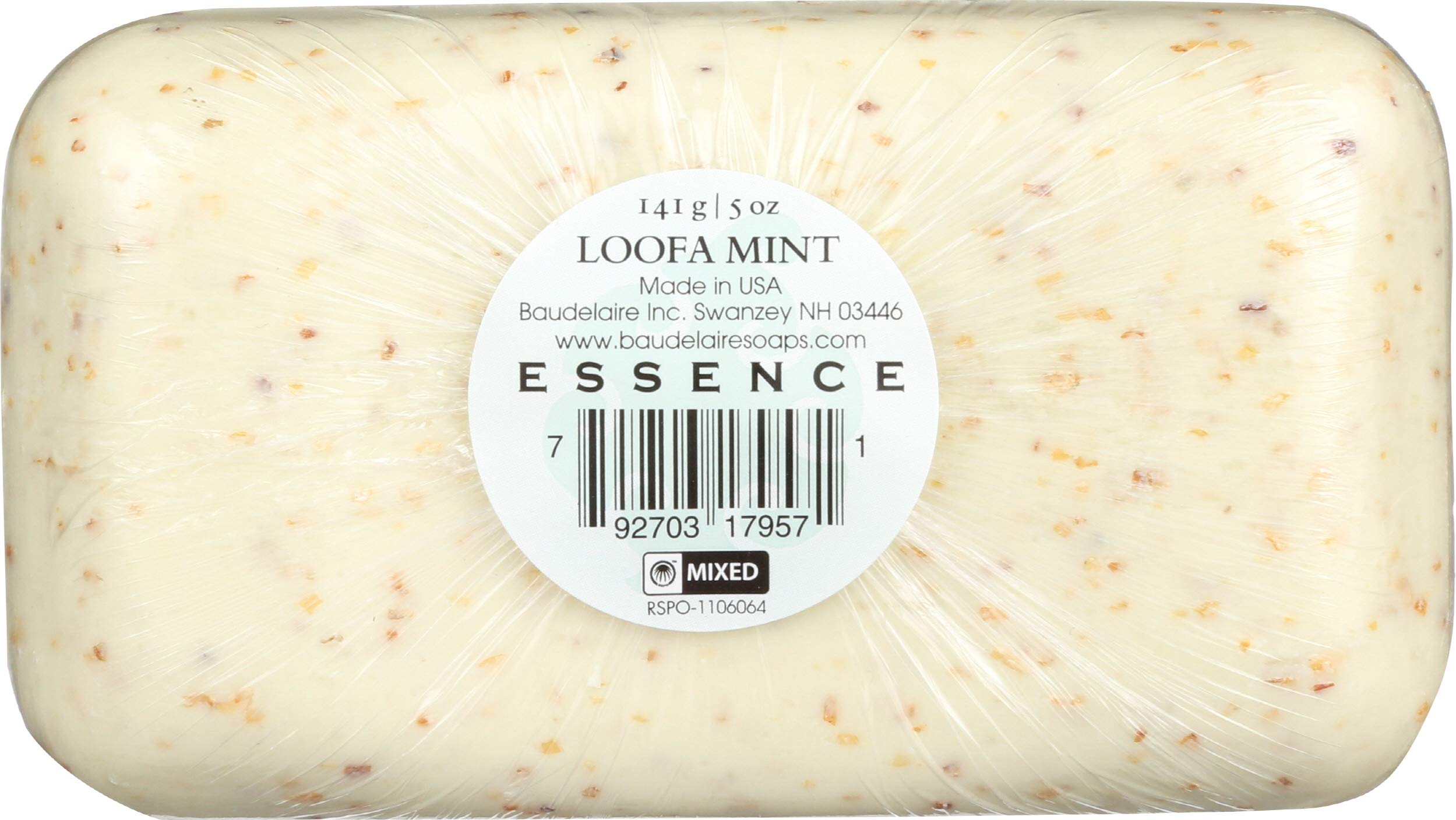 Baudelaire - Hand Soap Loofa Mint - 5 oz