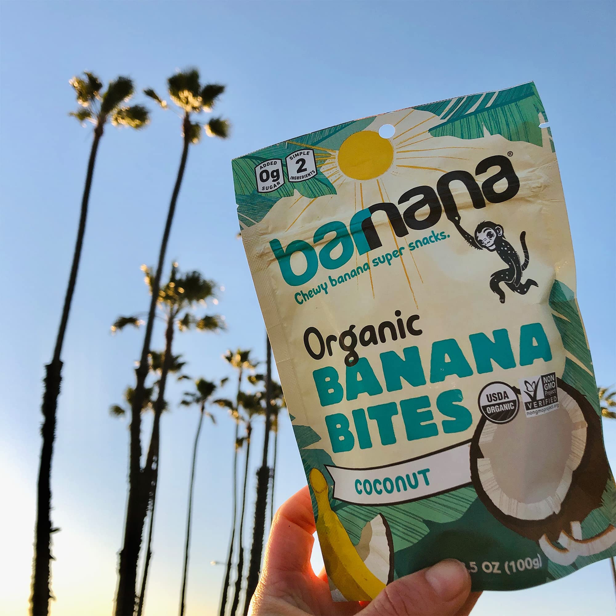 Barnana Organic Chewy Banana Bites