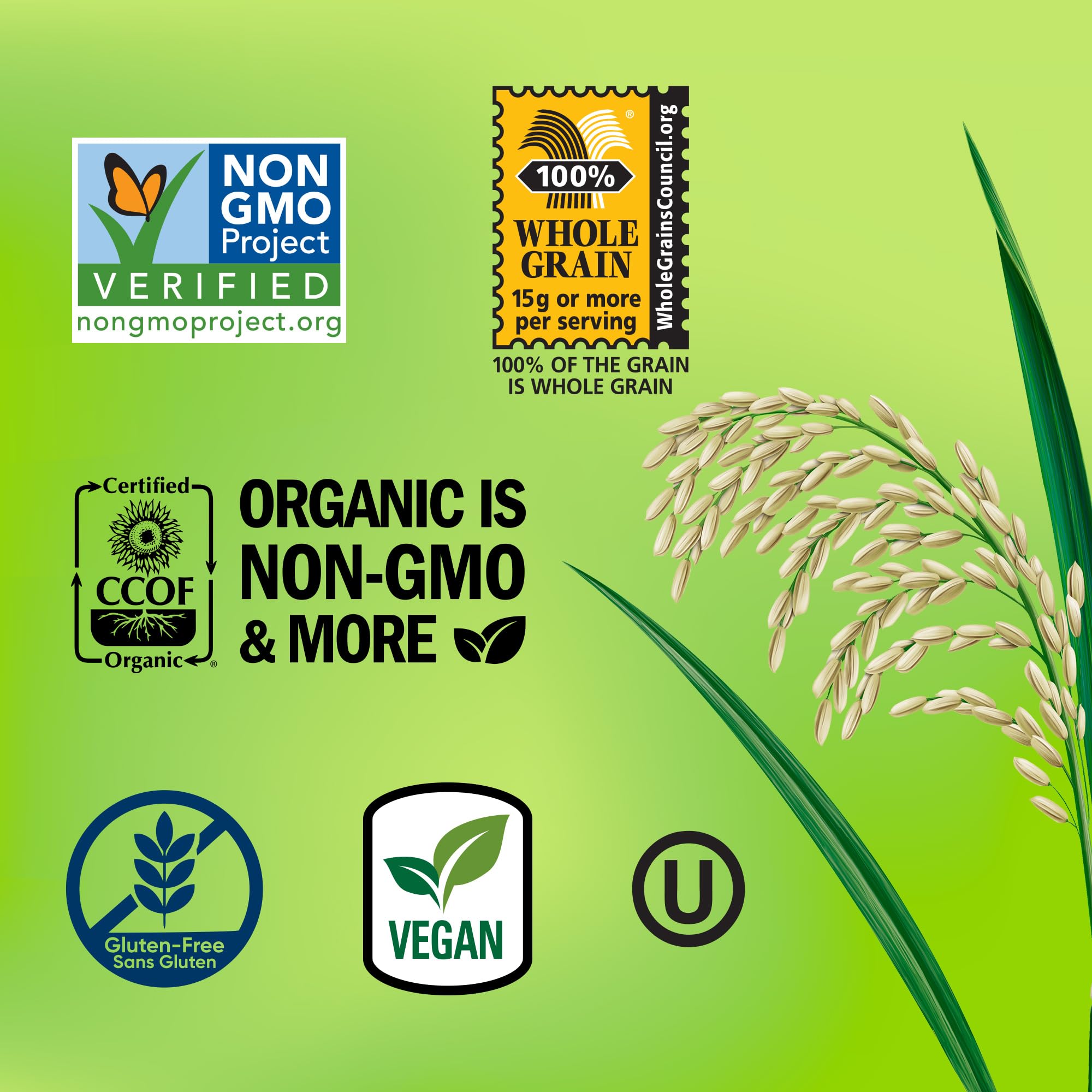 Lundberg Family Farms Rice Chips