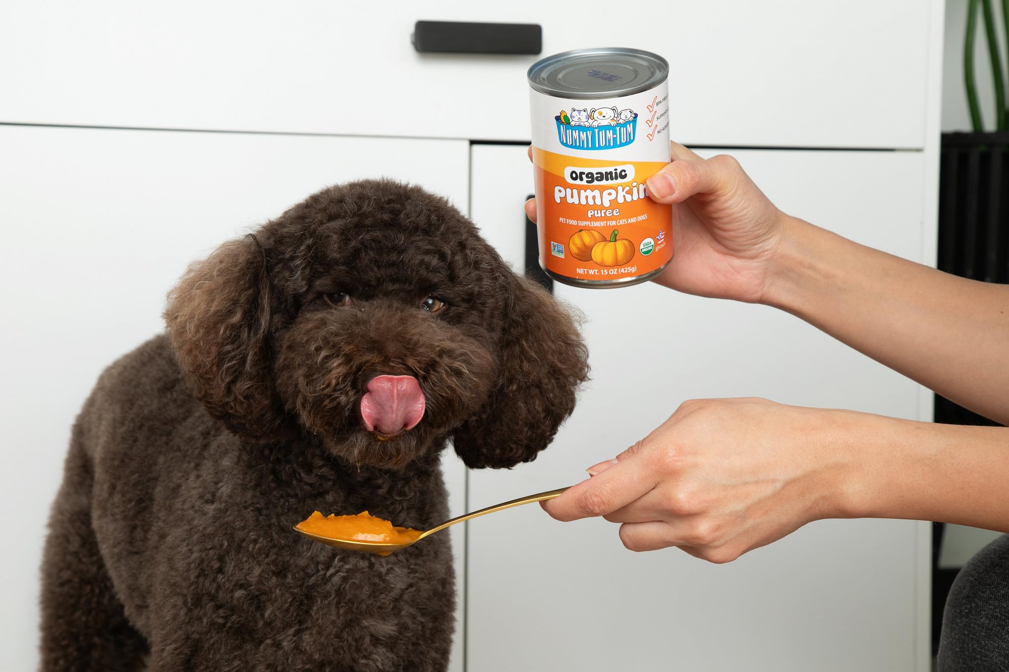 Nummy Tum Tum Pure Pumpkin For Pets, 15-Ounce Cans