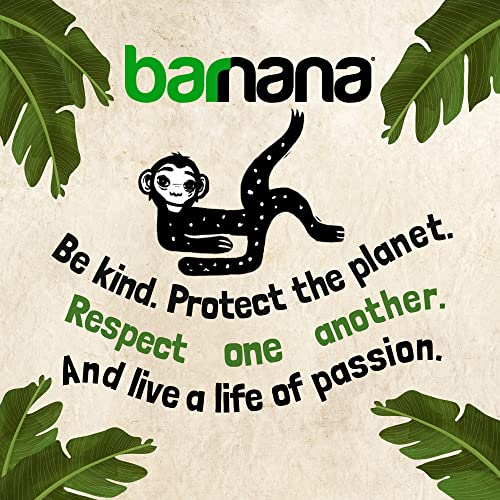 Barnana Organic Plantain Chips