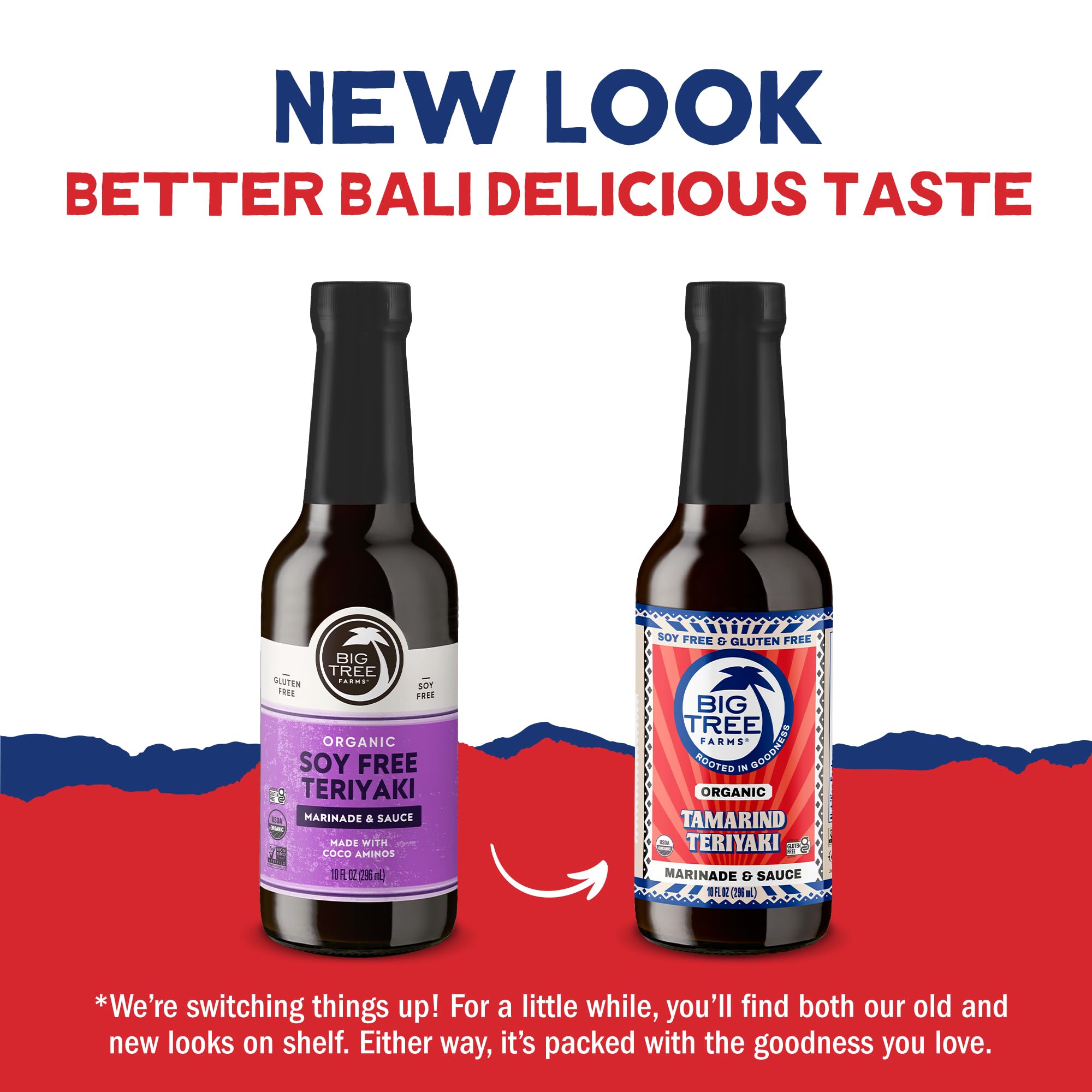 Big Tree Farms Organic Coco Aminos - Teriyaki