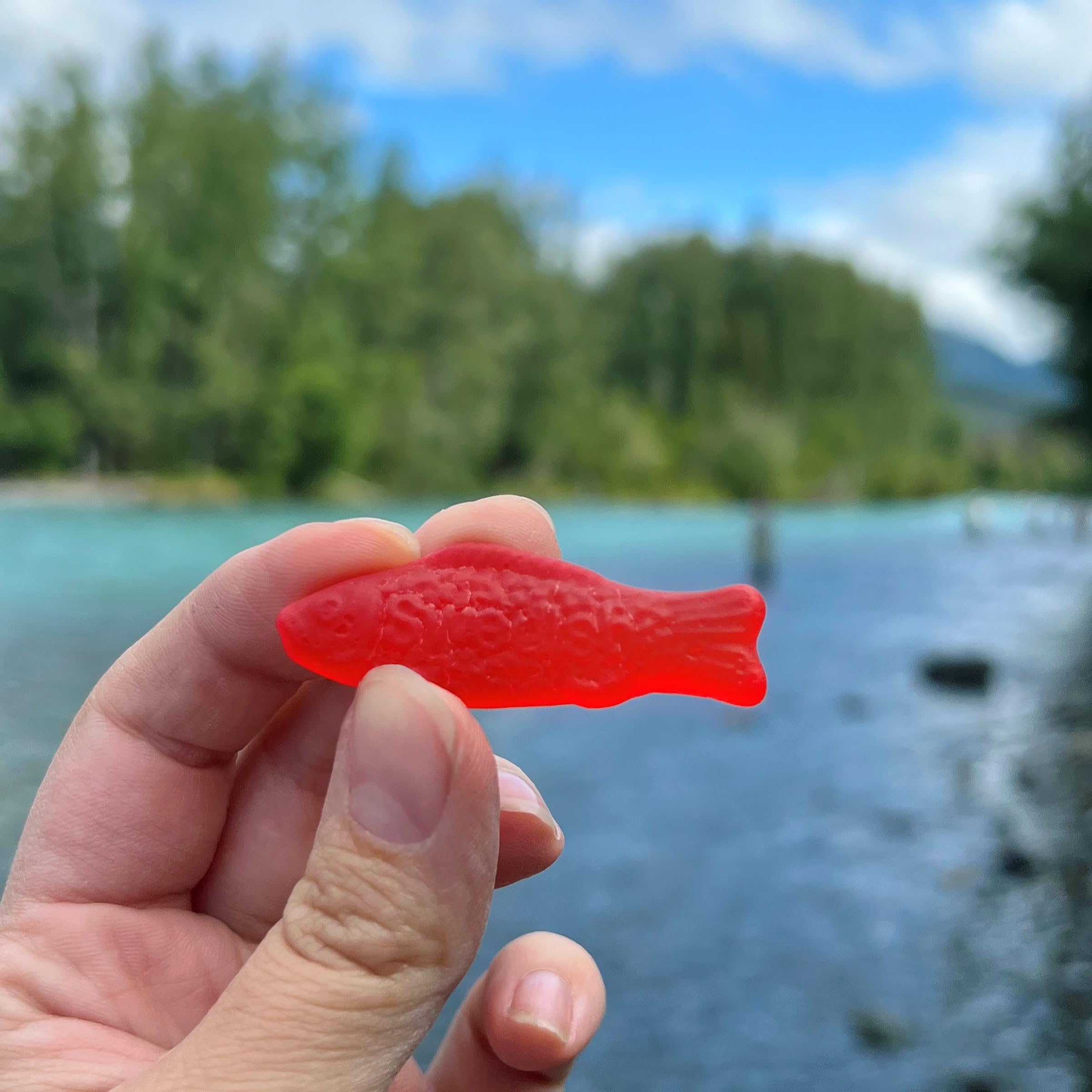 Swedish Fish Fish Soft & Chewy Candy
