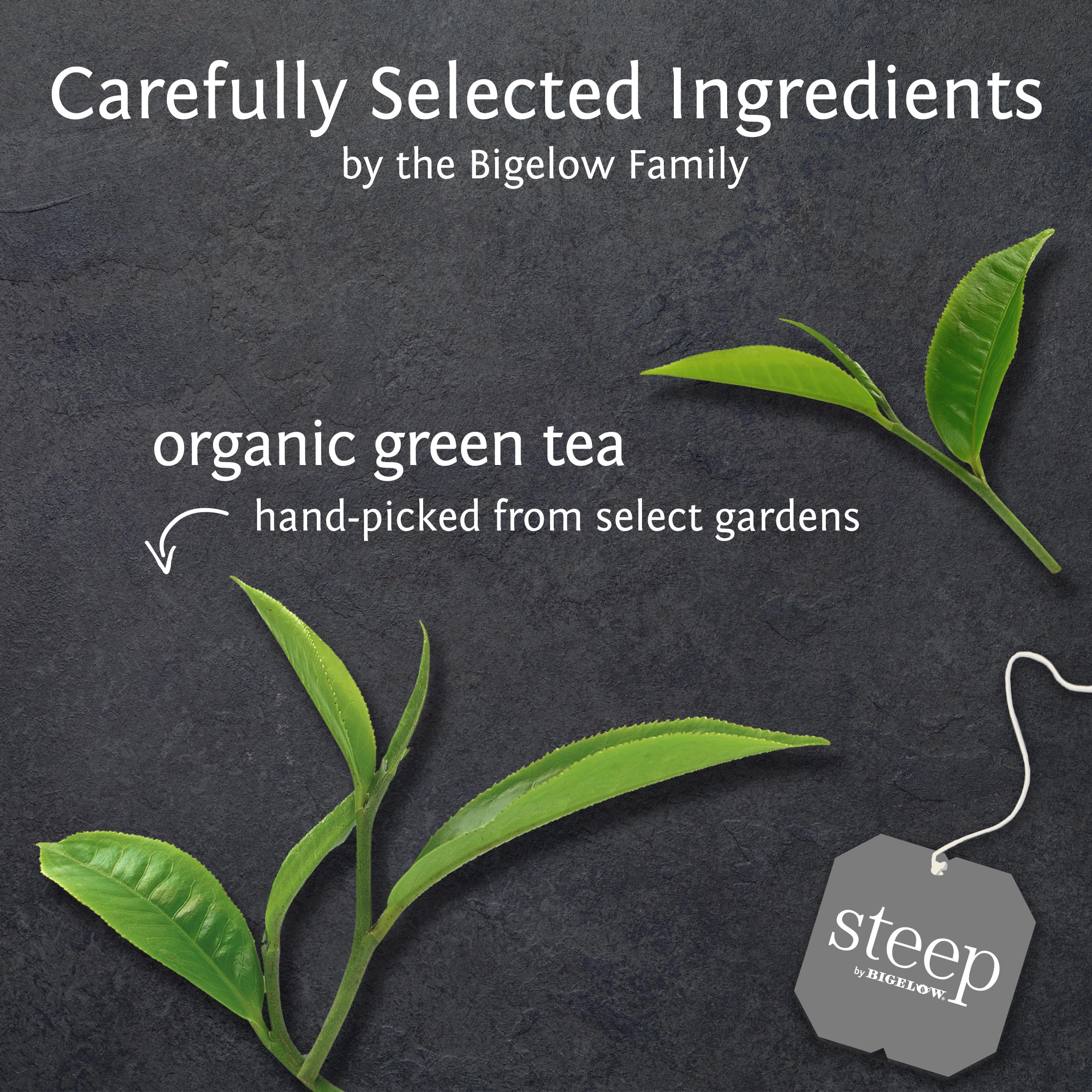 BIGELOW TEA Steep Herbal Tea Flavored Caffeine Free Teabag Box Organic