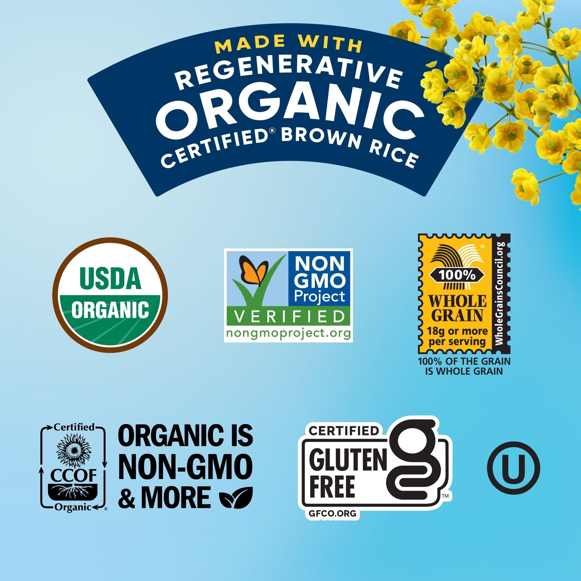 Lundberg Organic Brown Rice Cakes, Gluten-Free, Healthy Snacks