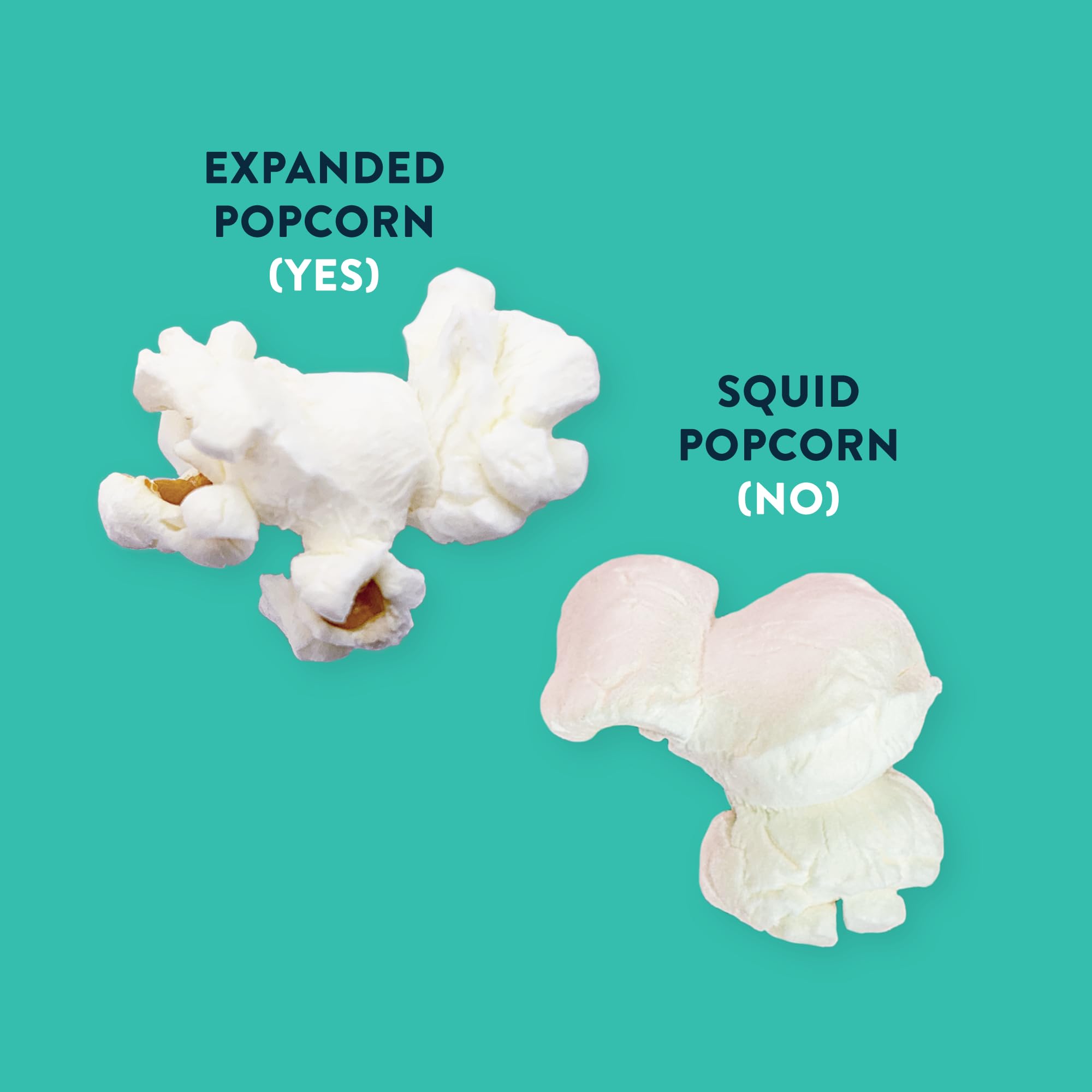 LesserEvil Organic Homer's Secret Blend Popcorn, 4.6 OZ