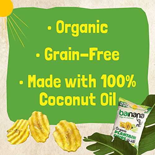 Barnana Organic Plantain Chips