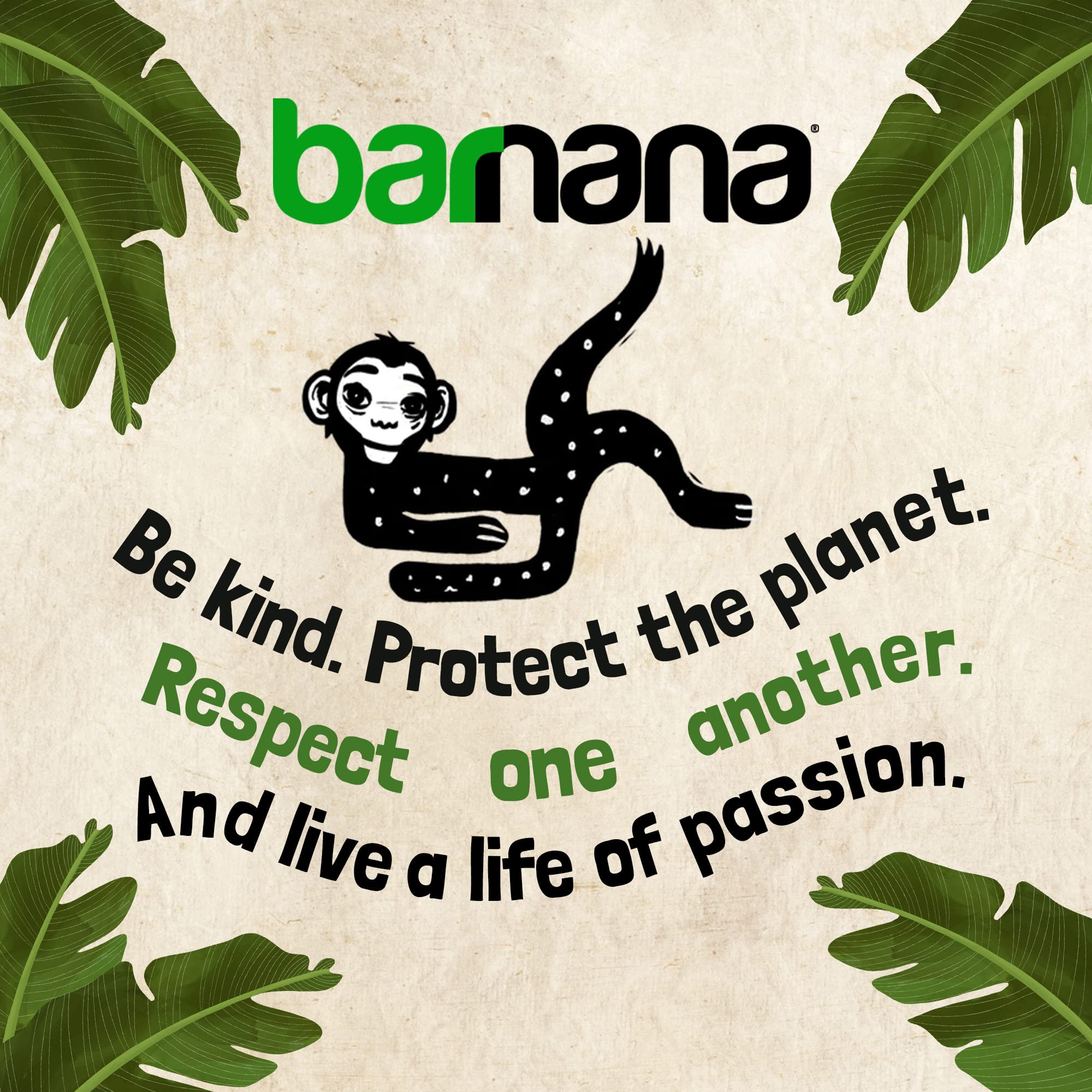 Barnana Organic Chewy Banana Bites