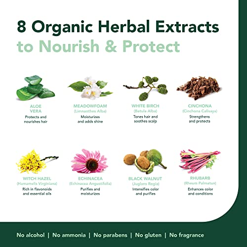 Herbatint Permanent Hair Dye For Women - 7N Blonde - For Up To 100% Gray Coverage of Resistant Gray Hair - Ammonia-Free, Alcohol-Free & Vegan - Salon Influenced Hair Color 5.75 fl oz