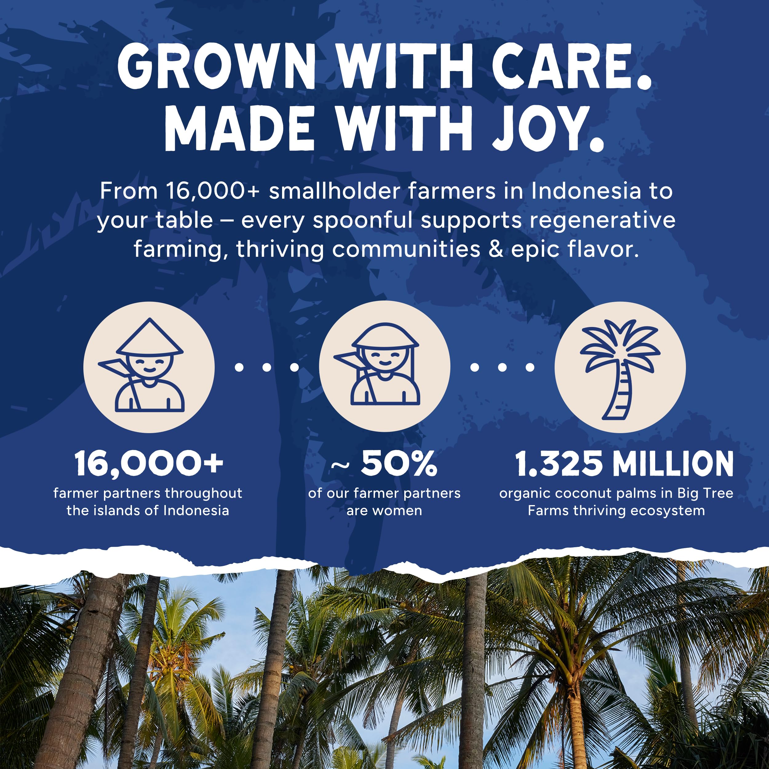 Big Tree Farms Organic Coco Aminos - Teriyaki