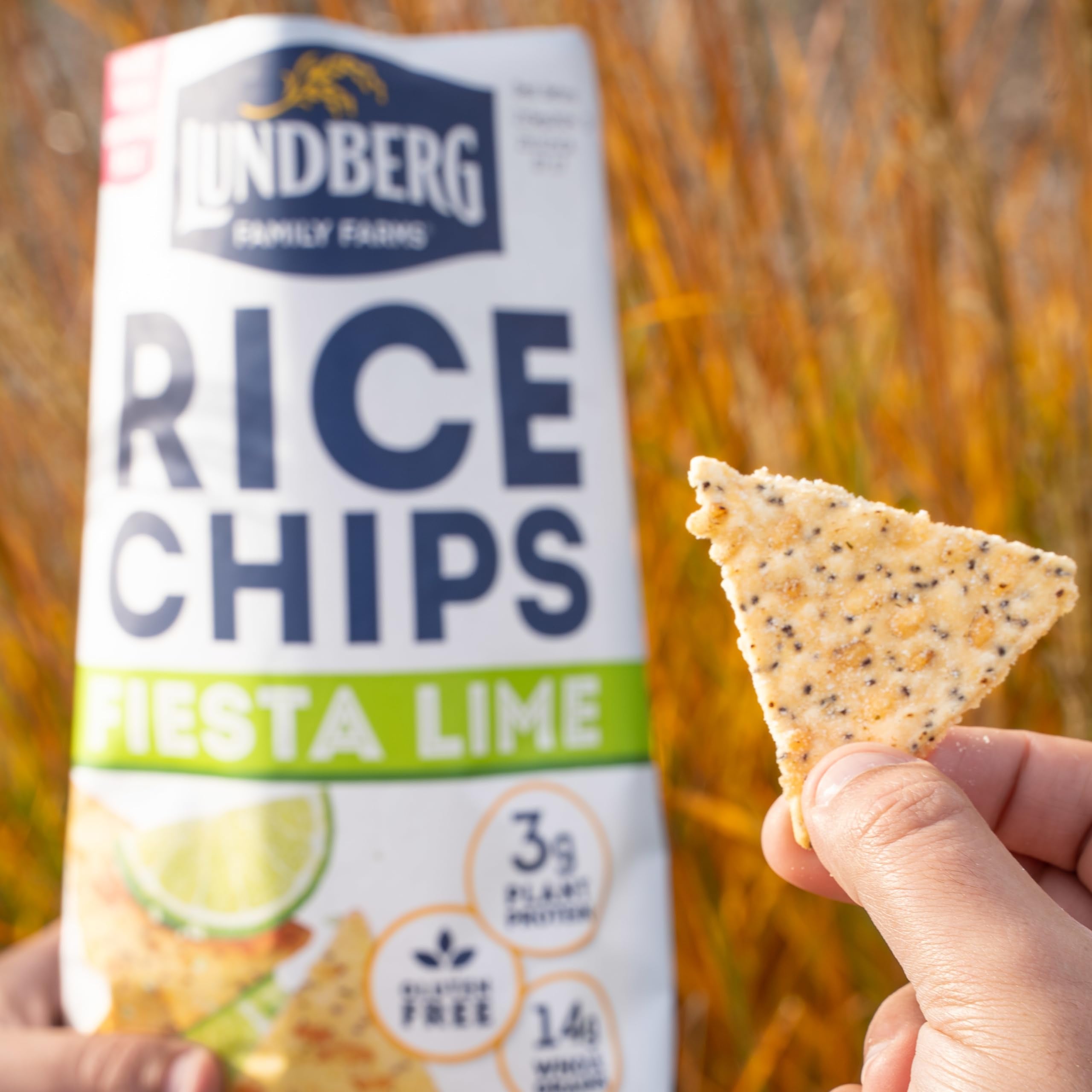 Lundberg Family Farms Rice Chips