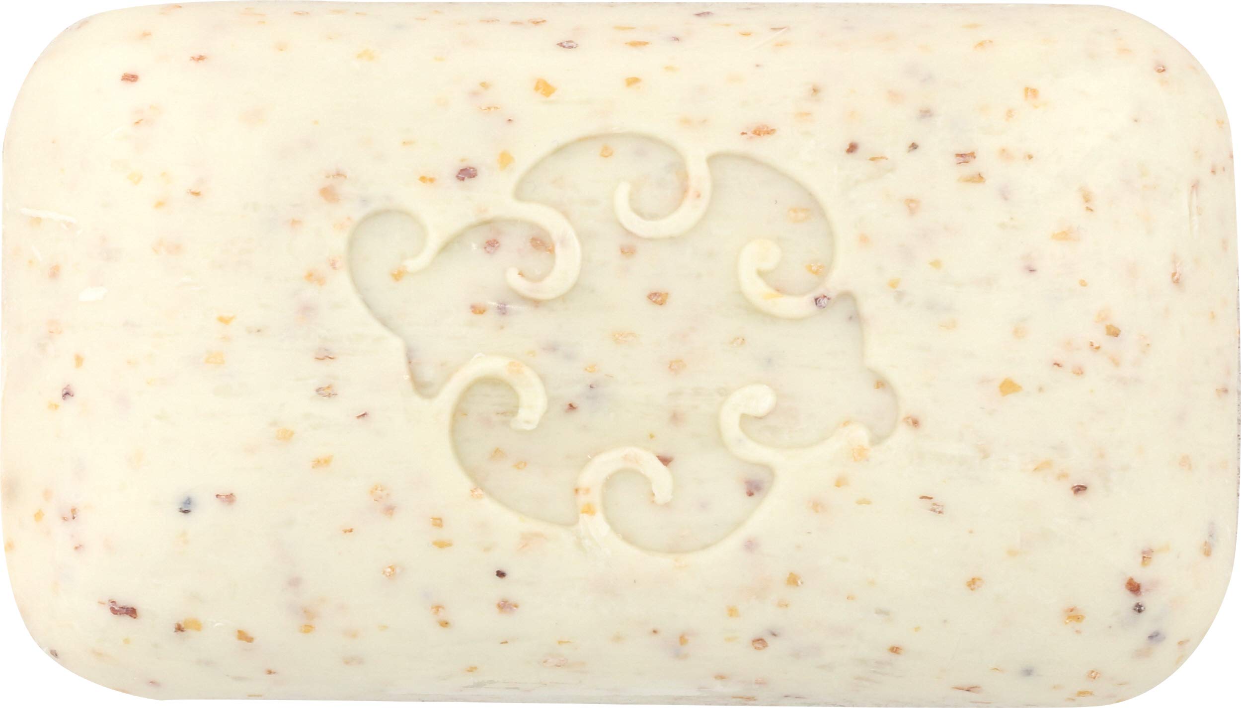 Baudelaire Hand Soap Loofa Mint, 5 Ounce