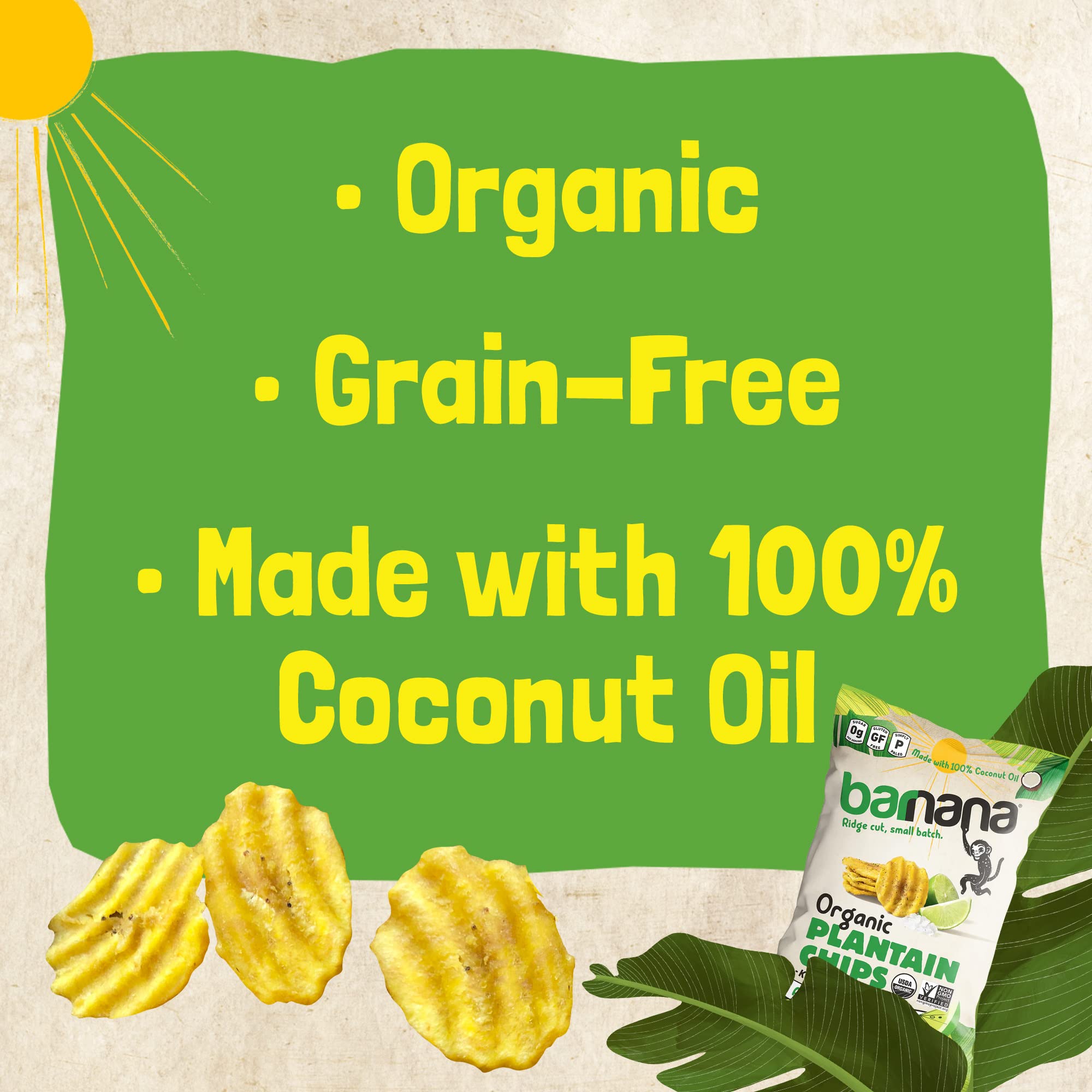 Barnana Organic Plantain Chips