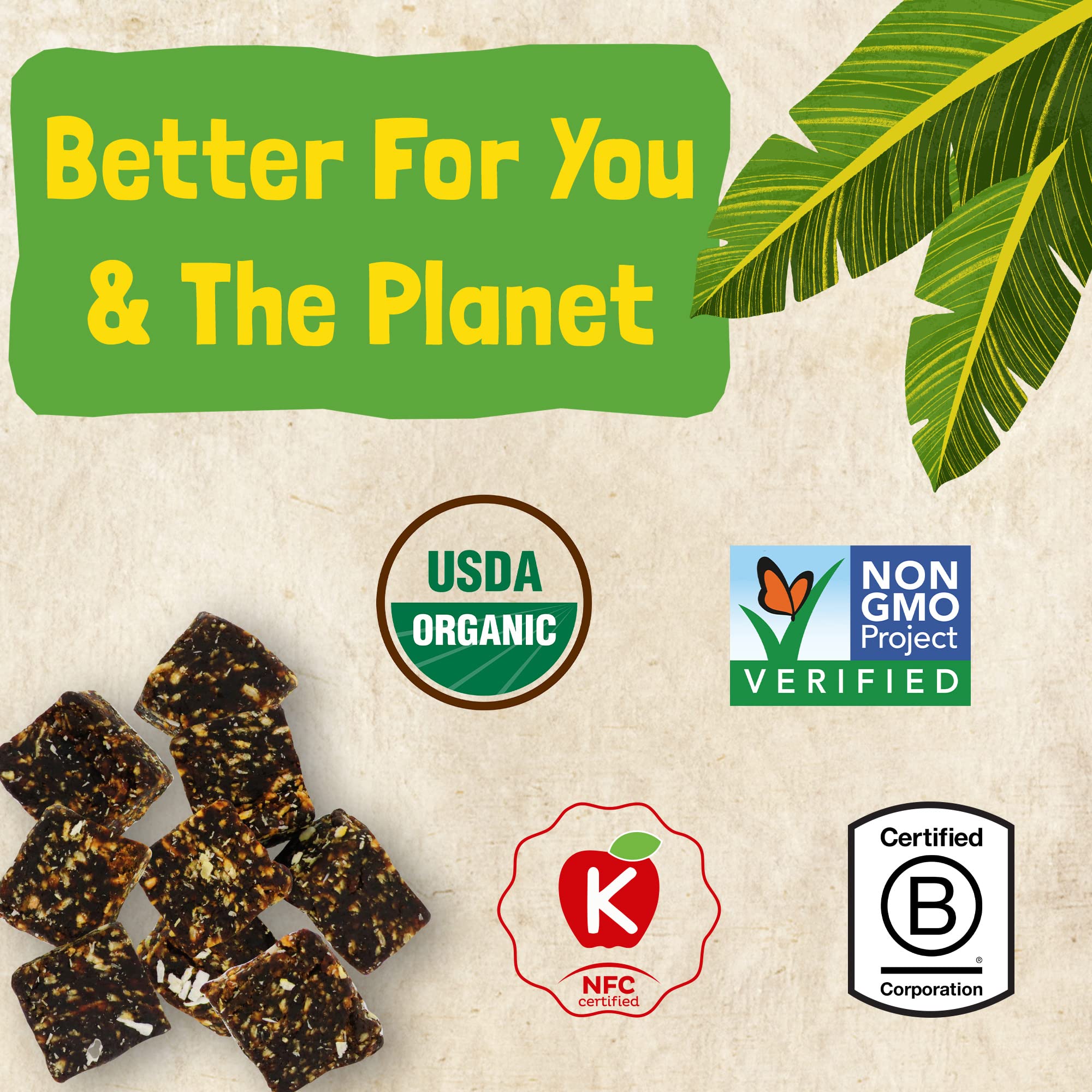 Barnana Organic Chewy Banana Bites