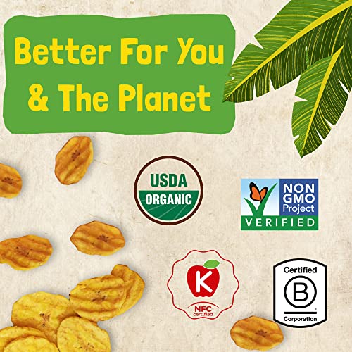 Barnana Organic Plantain Chips