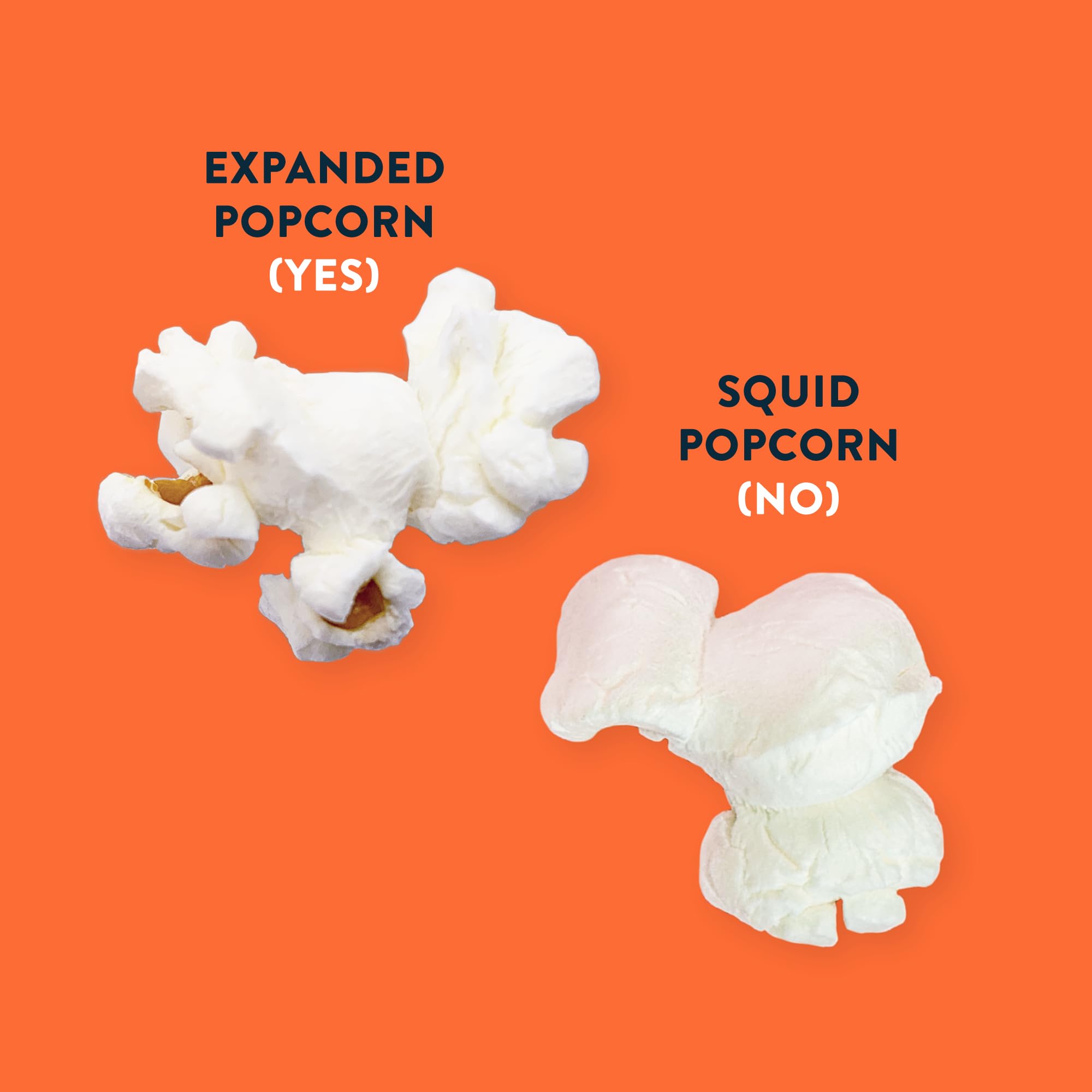 LesserEvil Organic Popcorn