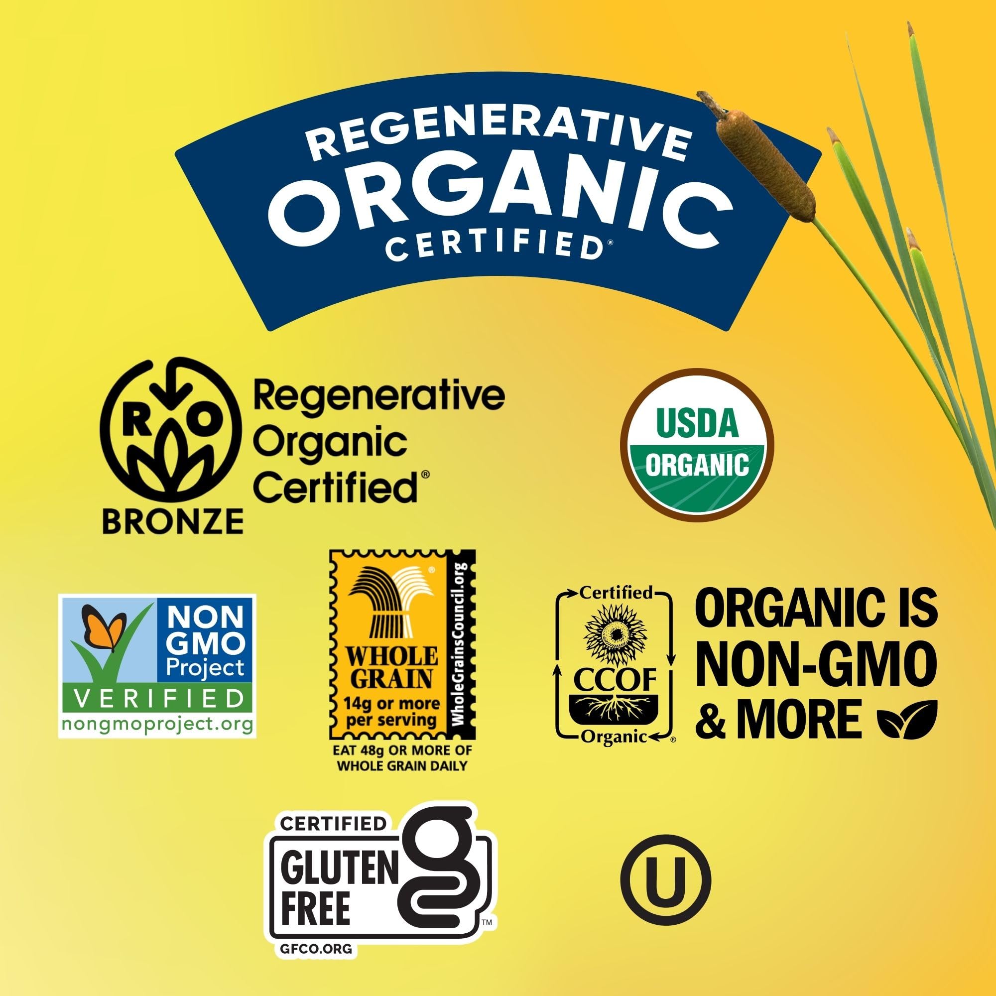 Lundberg Organic Thin Stackers, Red Rice & Quinoa, Salt-Free, Thin Multigrain Rice Cakes, Gluten-Free, Vegan, Healthy Snacks, 6 oz (Pack of 1)