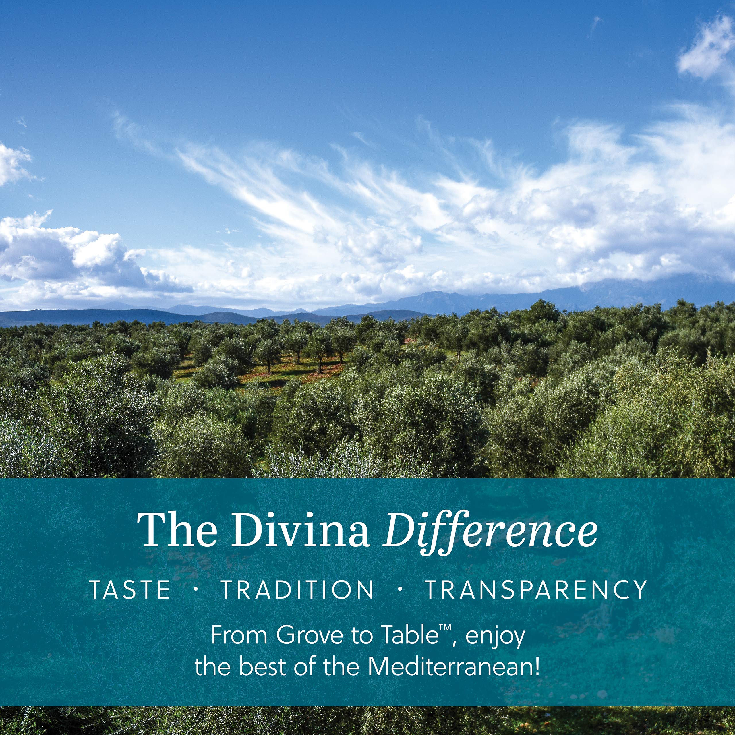 DIVINA Blue-Cheese-Stuffed Green Olives
