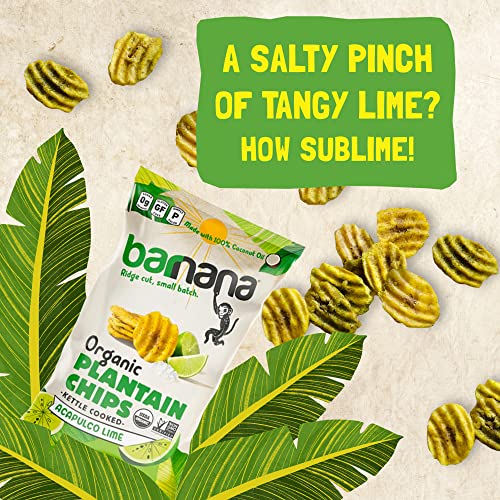 Barnana Organic Plantain Chips