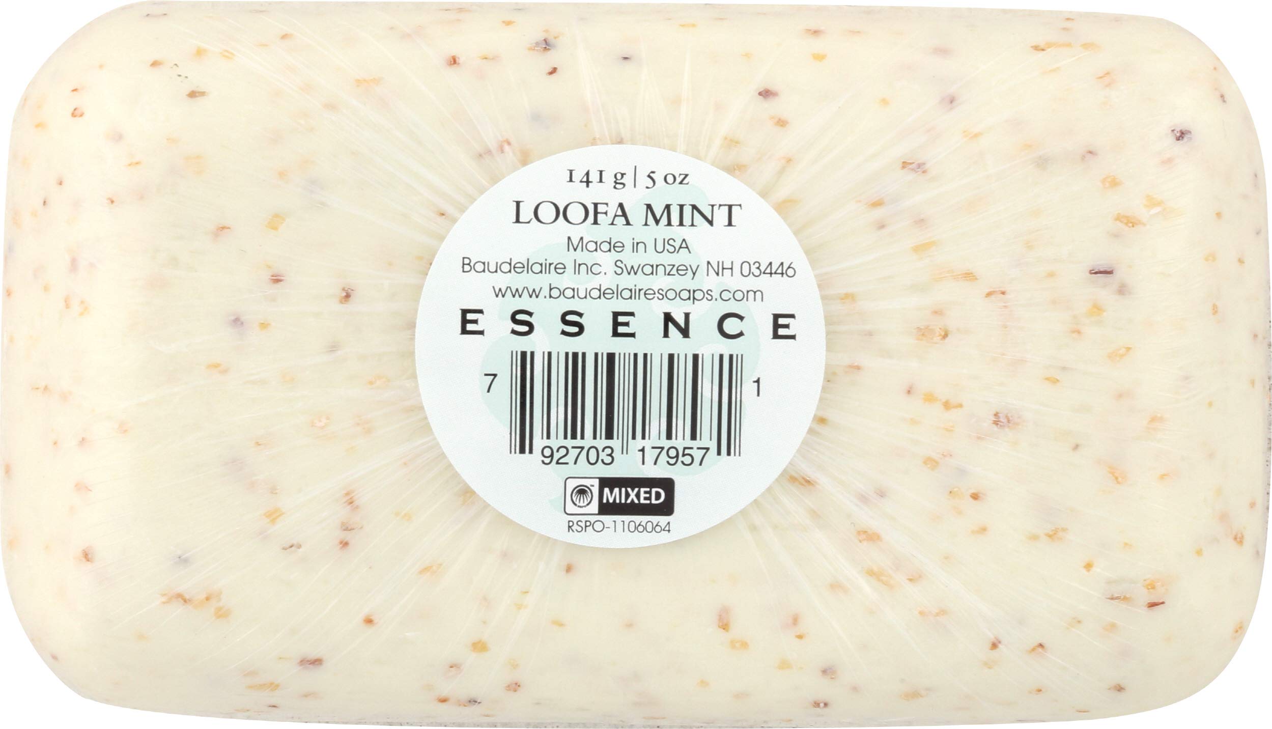 Baudelaire - Hand Soap Loofa Mint - 5 oz