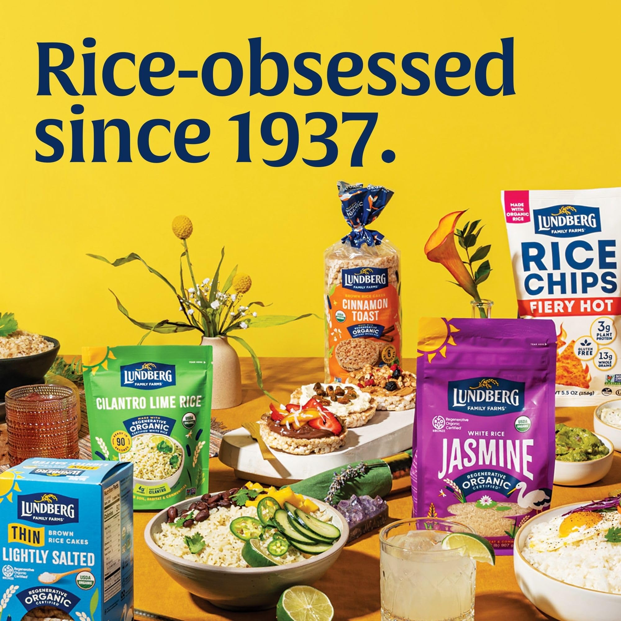 Lundberg Organic Brown Rice Cakes, Tamari with Seaweed, 8.5oz, Gluten-Free, Vegan, USDA Certified Organic, Non-GMO Verified, Kosher, Whole Grain Brown Rice