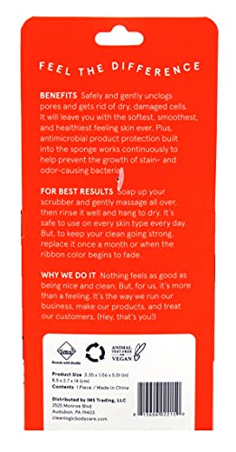 Clean Logic Detox Charcoal Infused Body Exfoliator (Pack of 2)