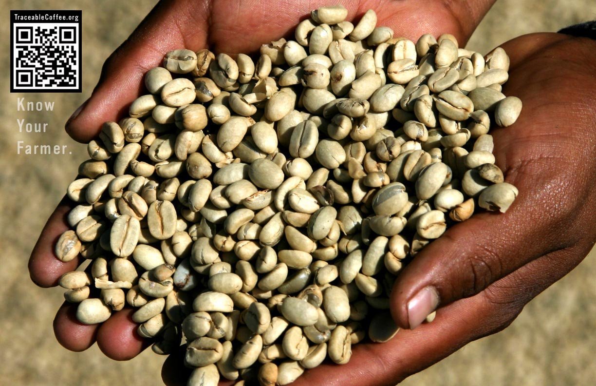 Pachamama Coffee Organic French Roast Whole Bean Coffee, 10 Oz