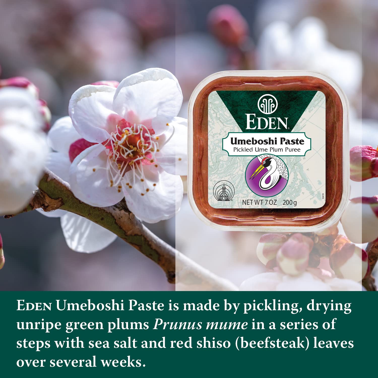 Eden Umeboshi Paste, Pickled Ume Plum Puree, Artisan Made in Japan, No MSG, No Chemical Additives, 7oz
