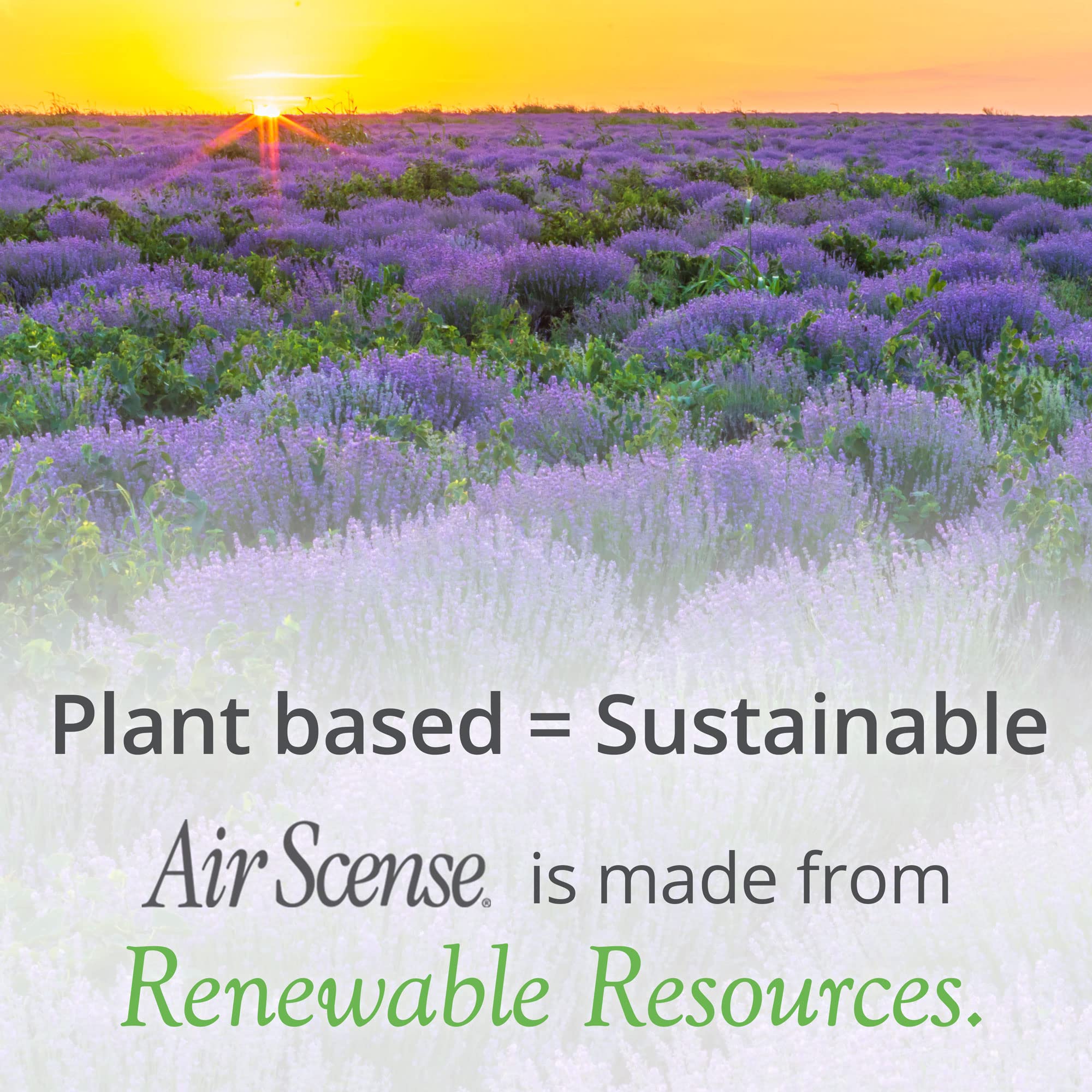 Air Scense Essential Oil Air Freshener - Non-Aerosol | Refreshing, Long-Lasting Scent | Eco-Friendly | Exceptional Value
