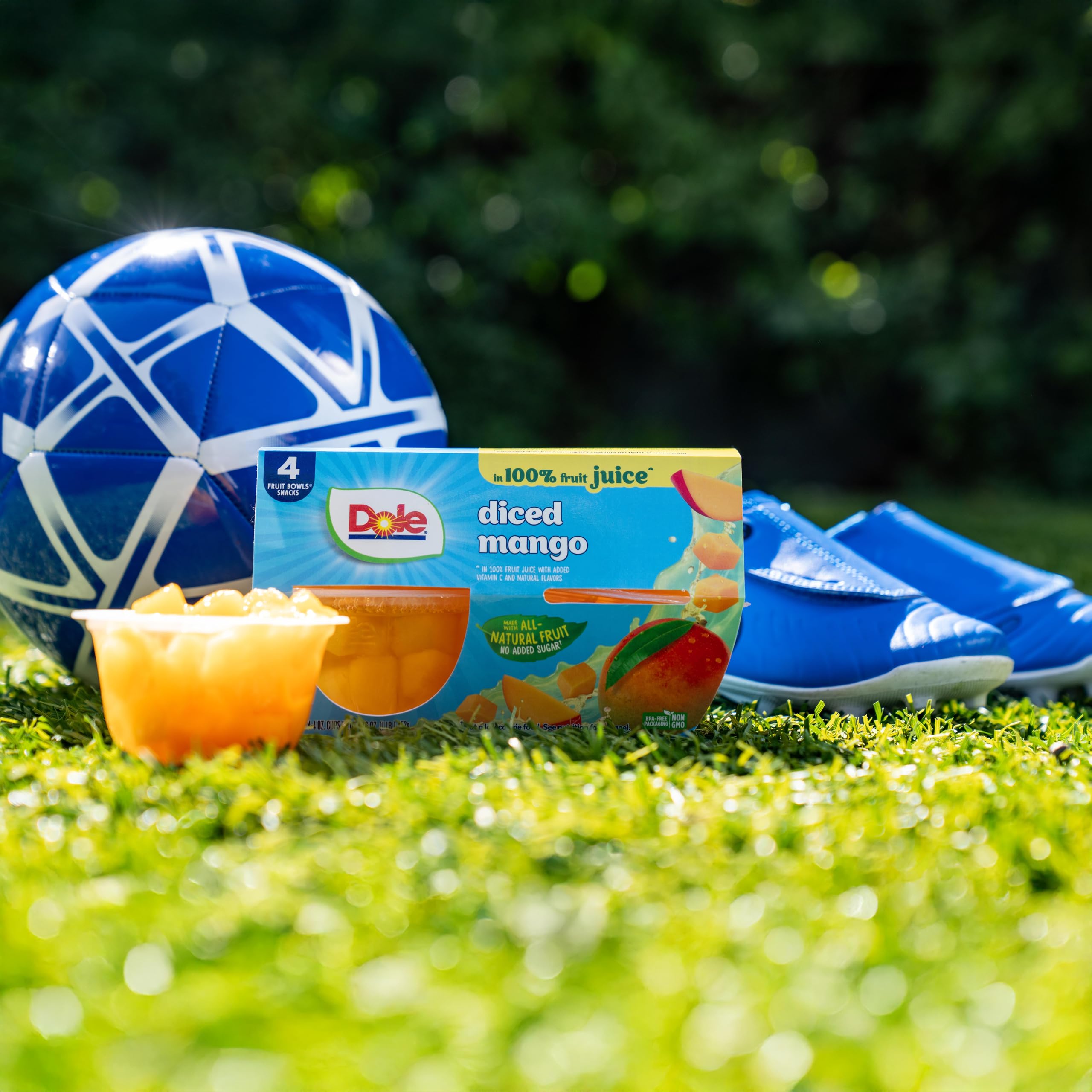 Dole Fruit Bowls Diced Peaches in 100% Juice, Gluten Free Healthy Snack, 7 Oz, 12 Total Cups