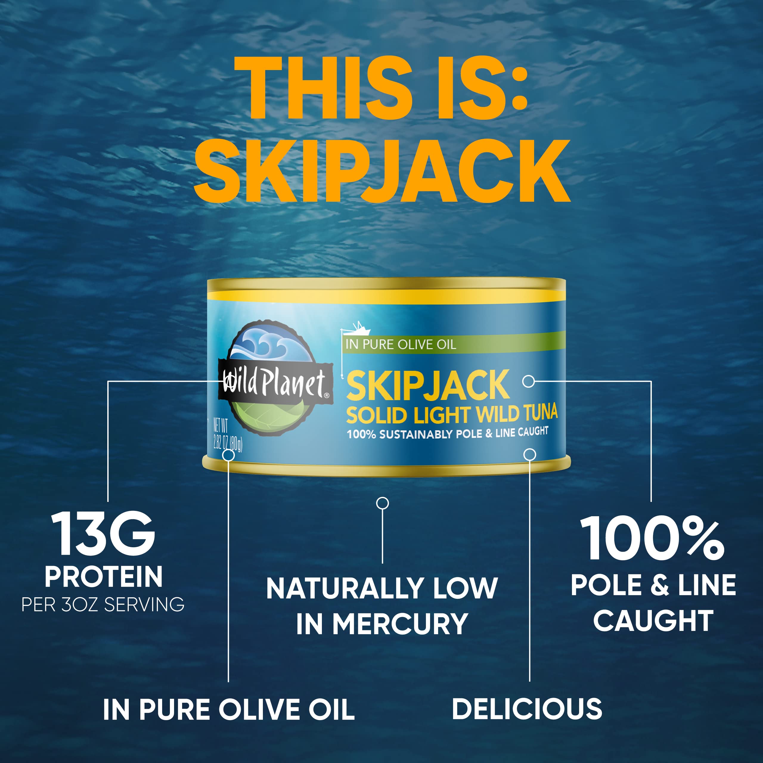 Wild Planet Wild Skipjack Tuna with Dill Pickle Tinned Fish, Canned Tuna, Sustainably Caught