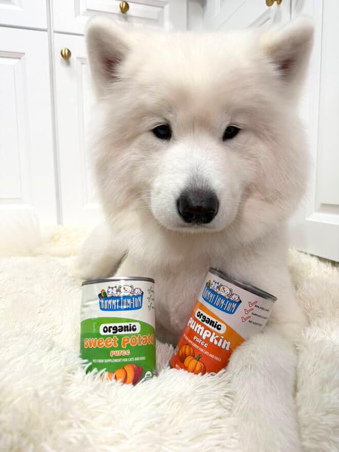 Nummy Tum Tum Pure Pumpkin For Pets, 15-Ounce Cans