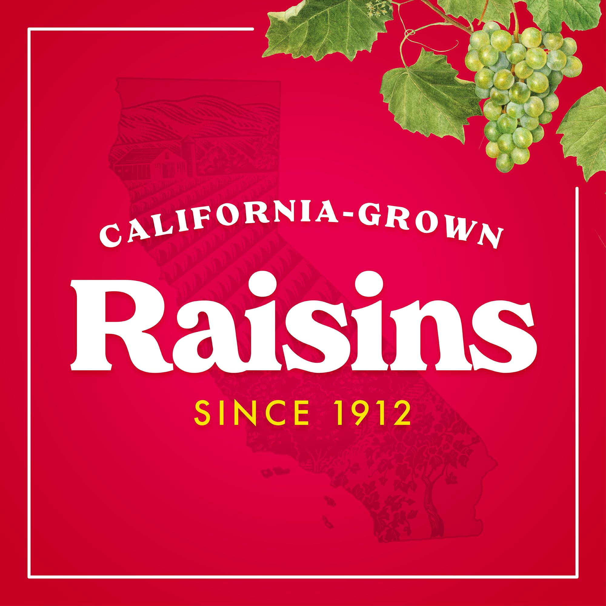 California Raisins Multi-Serve