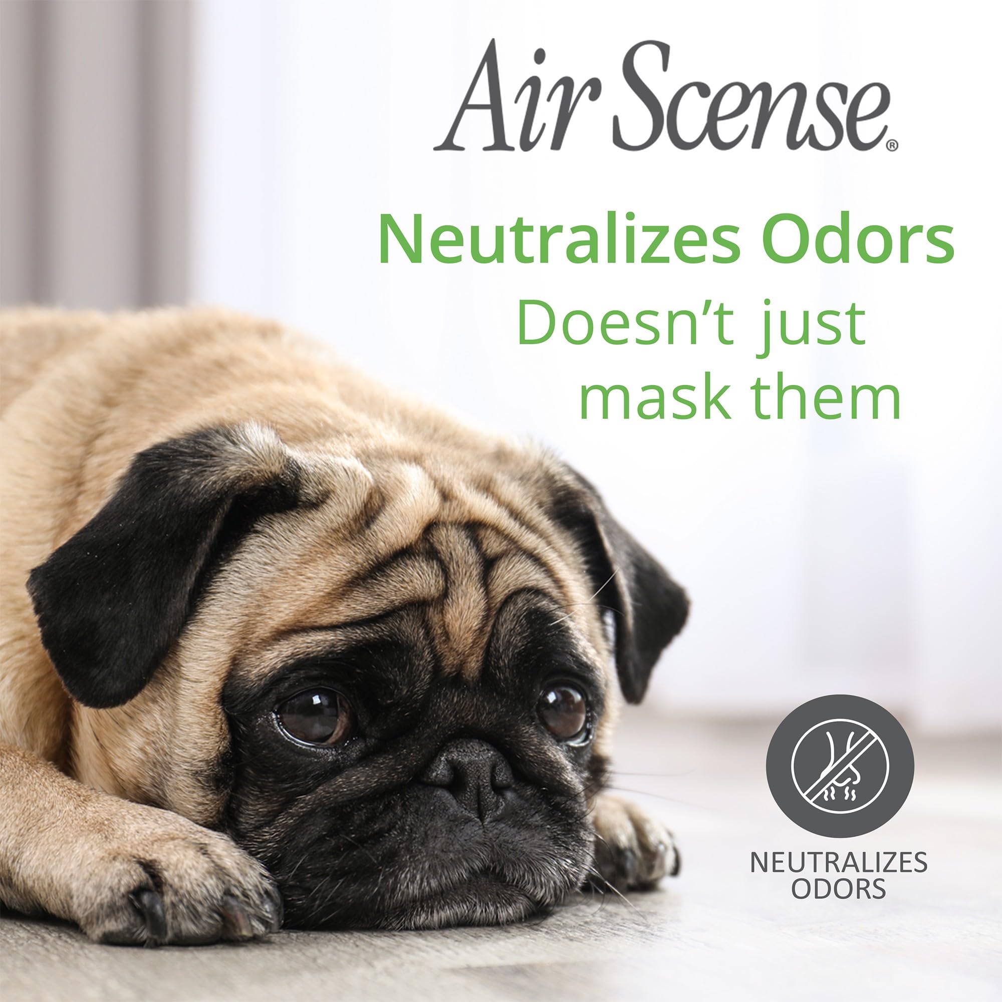 Air Scense Essential Oil Air Freshener - Non-Aerosol | Refreshing, Long-Lasting Scent | Eco-Friendly | Exceptional Value