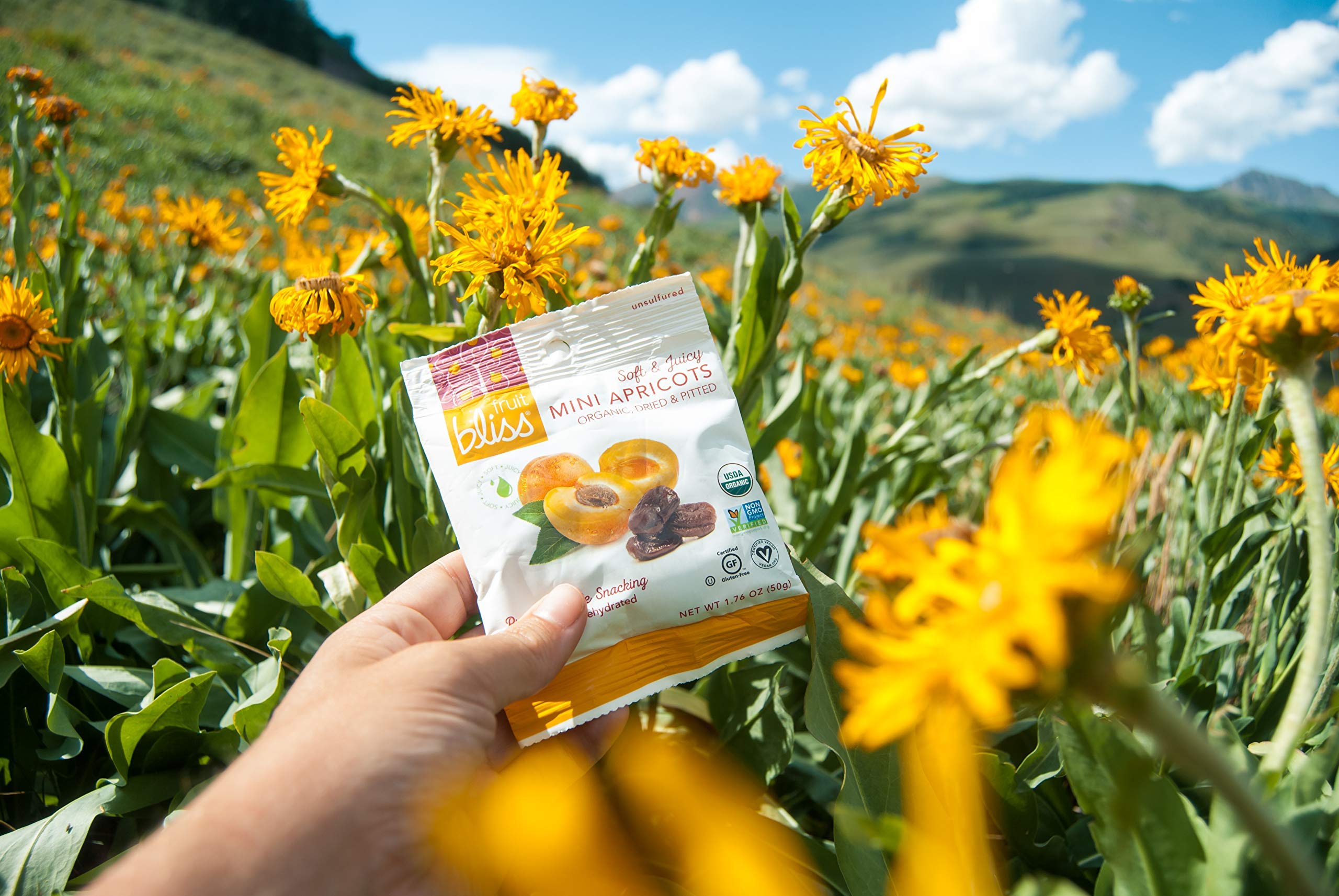 Unsulfured Turkish Apricots - Organic Apricots Dried Fruit Snacks - Healthy Snacks for On the Go & Post Workout Snacks - Non-GMO, Gluten-Free, Dried Apricot Fruit Snacks