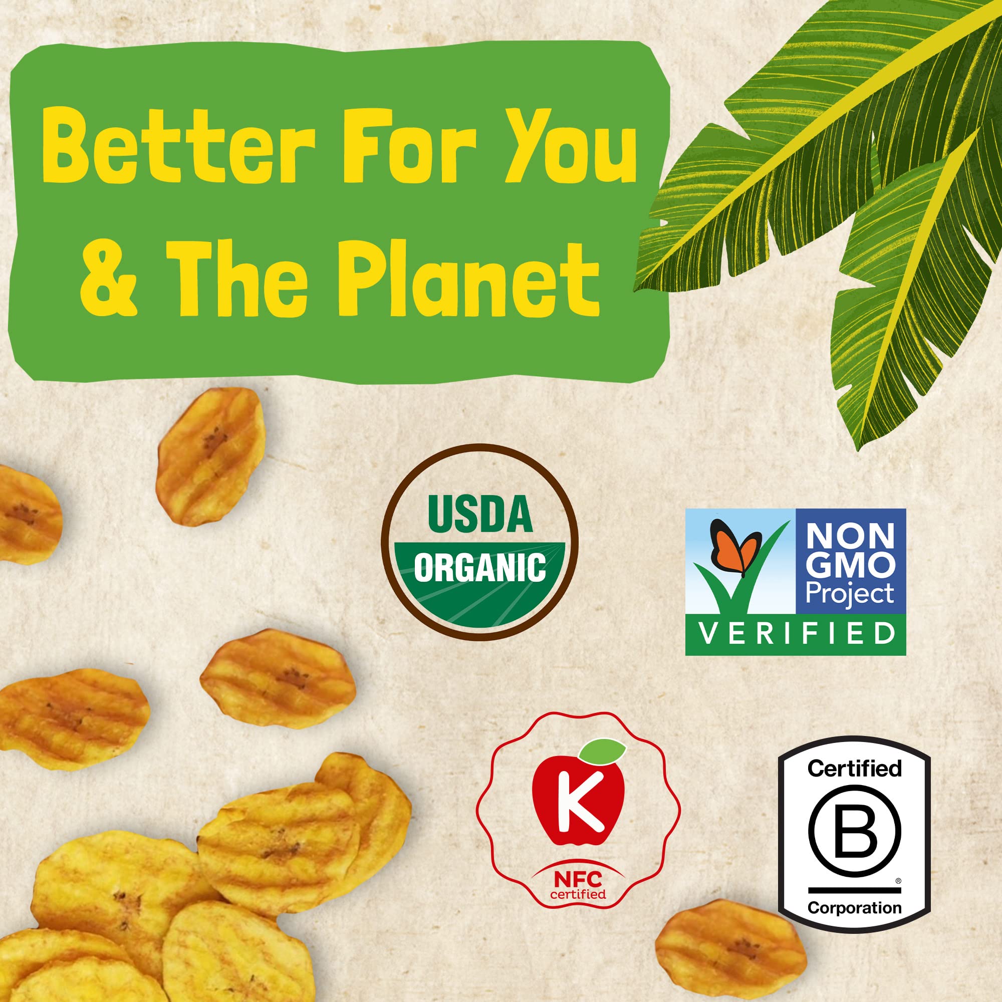 Barnana Organic Plantain Chips