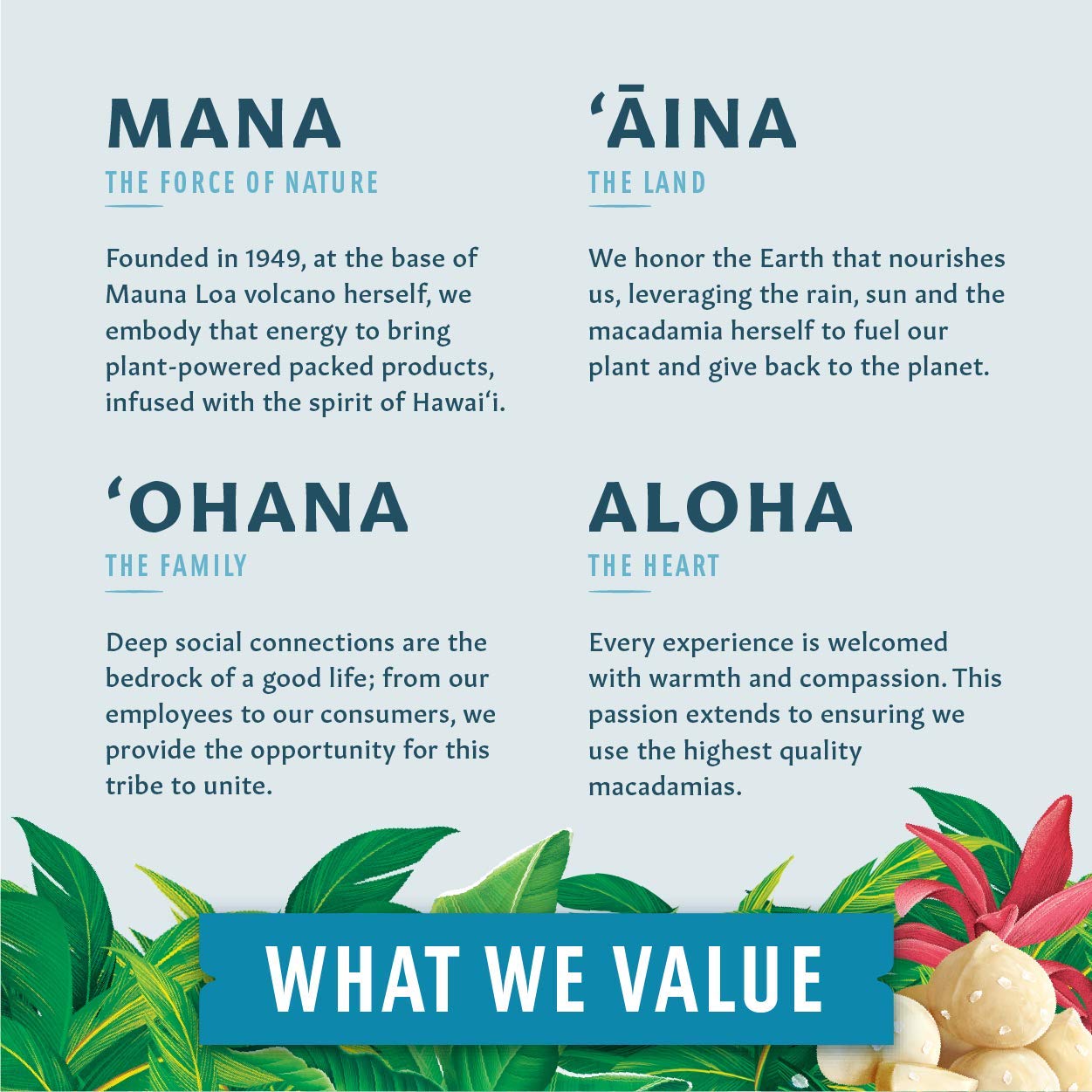 Mauna Loa Premium Roasted Macadamia Nuts, Garlic Flavor Onion, 4 Oz