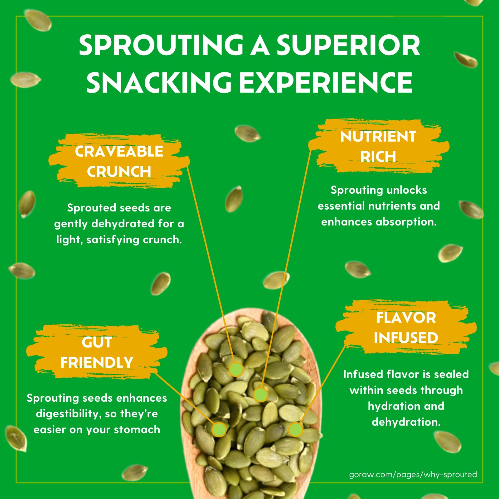 Go Raw Family Sized Pumpkin Seeds
