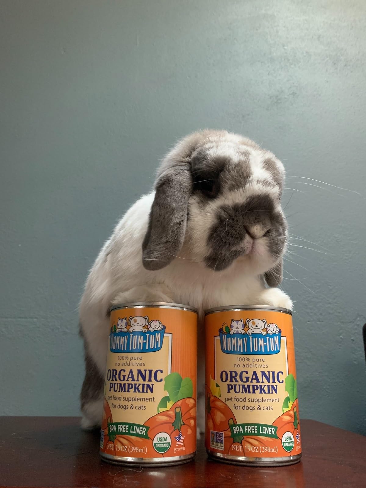 Nummy Tum Tum Pure Pumpkin For Pets, 15-Ounce Cans
