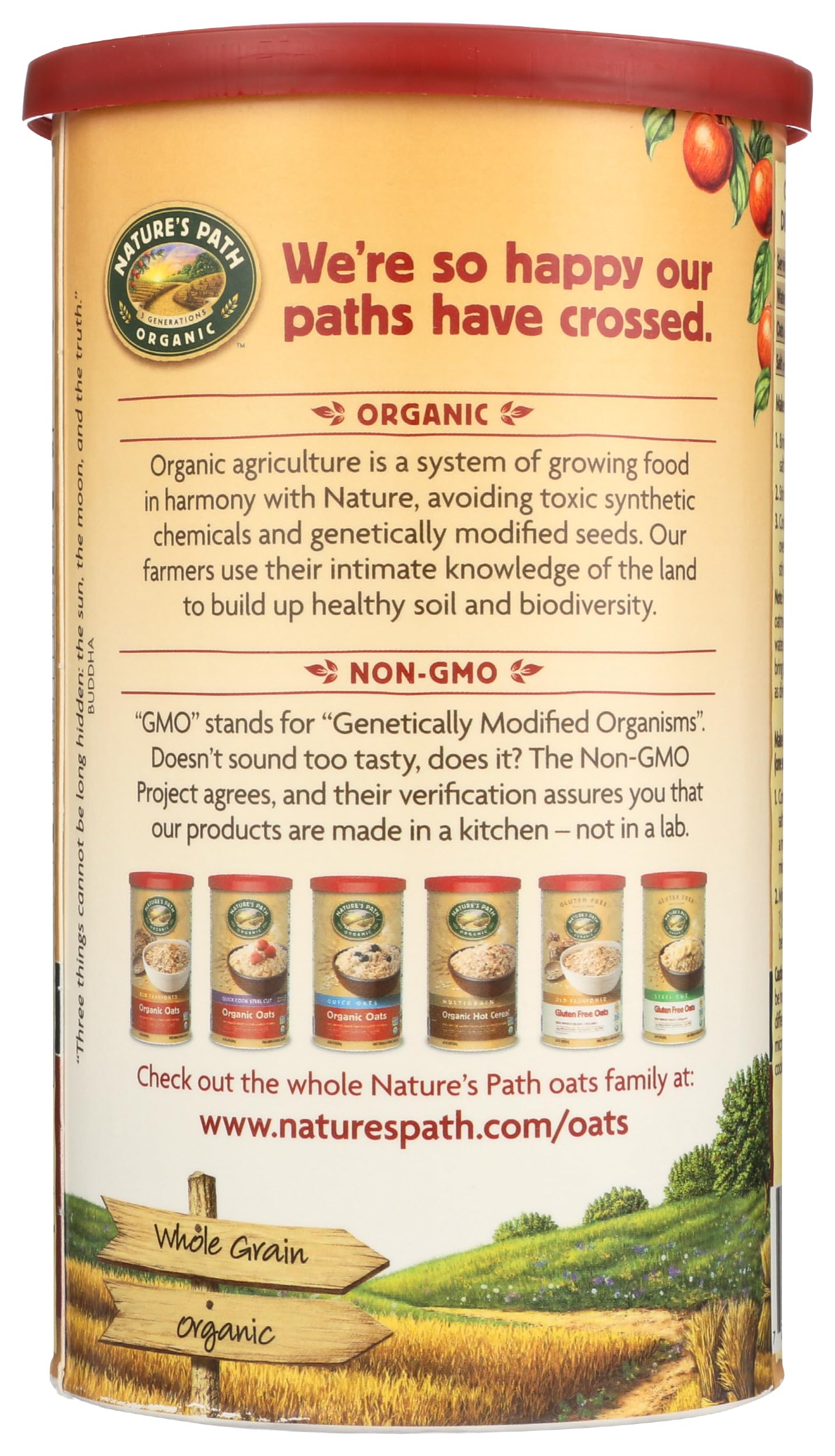 Natures Path, Oatmeal Quick Oats Organic, 18 Ounce